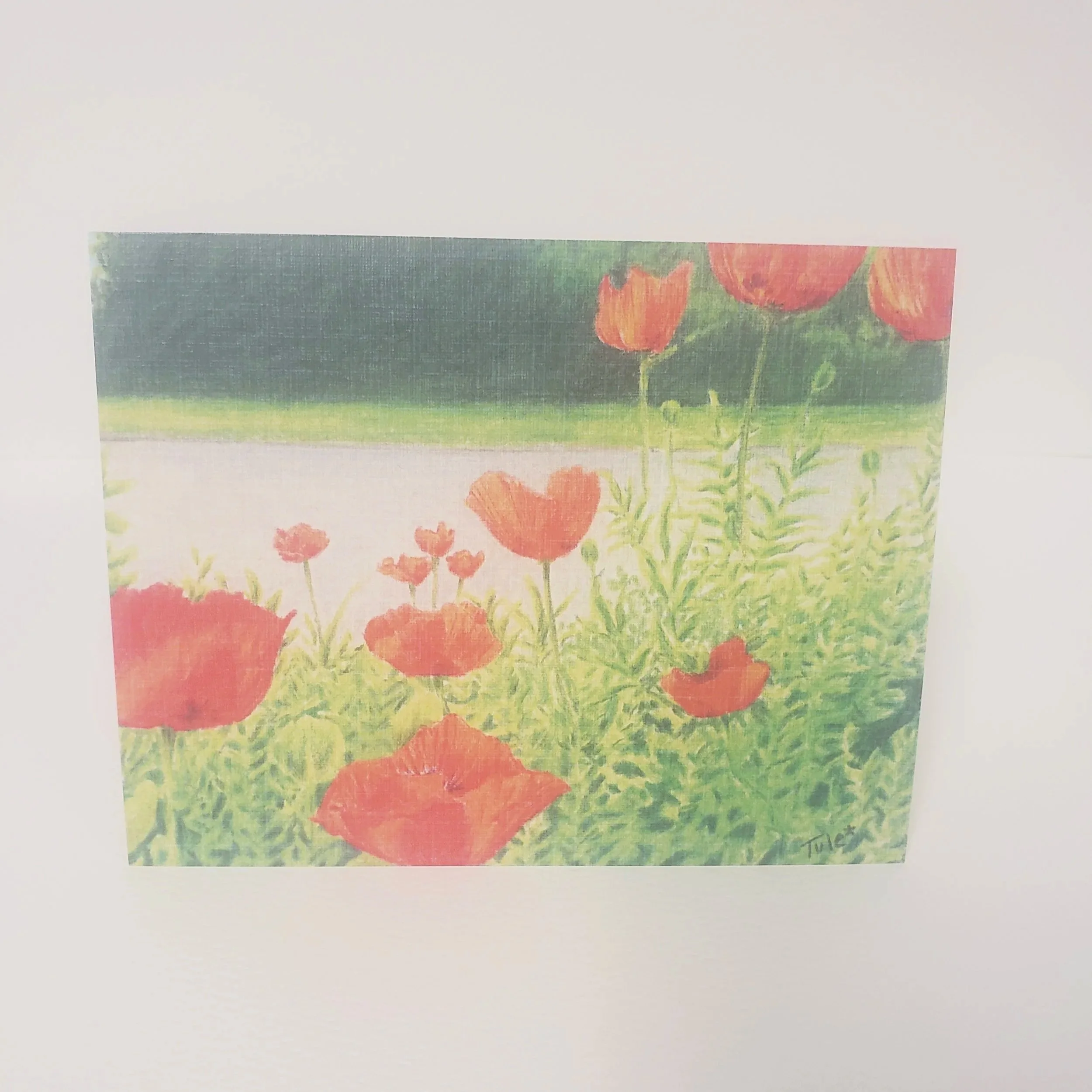 Heat Wave Poppies Greeting Card