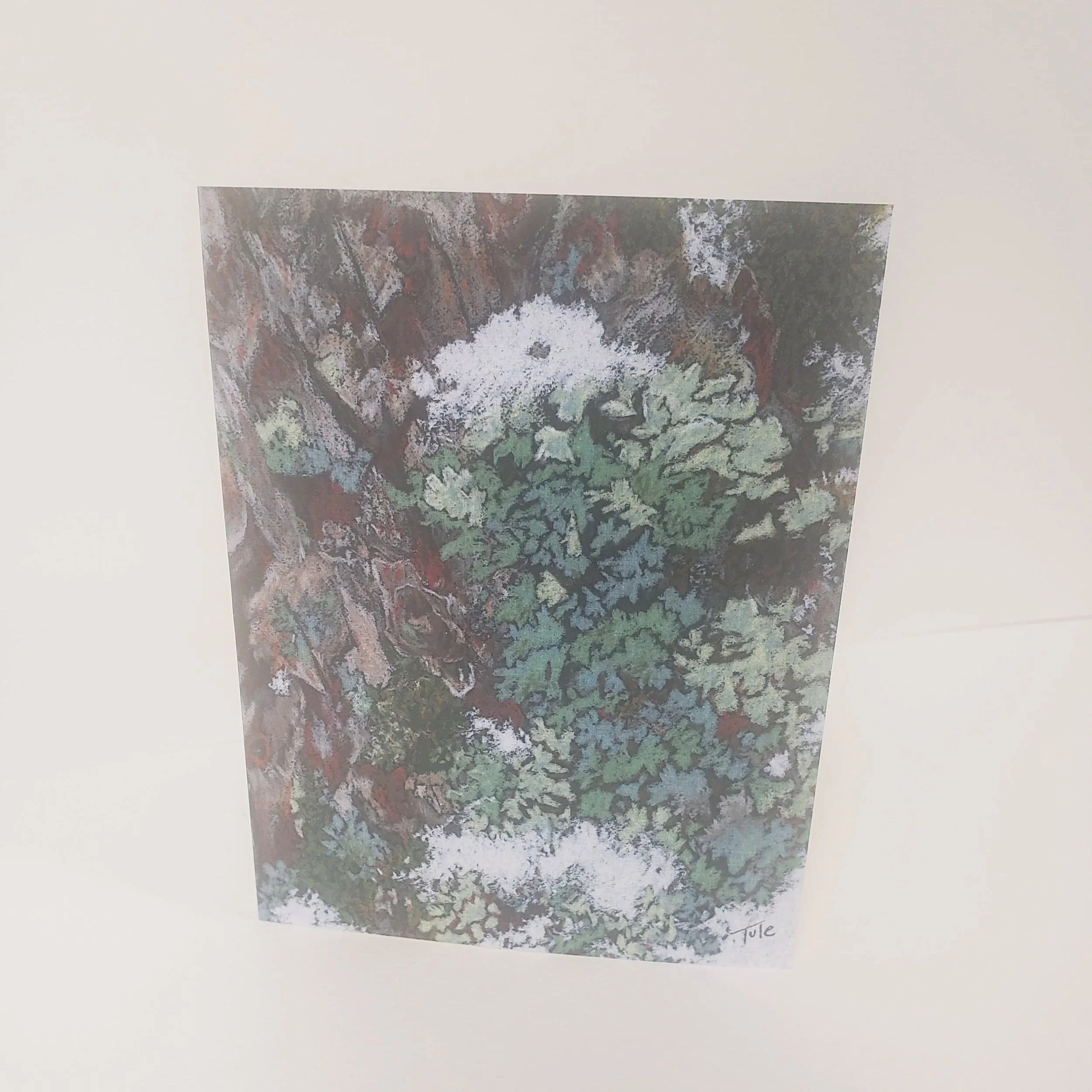 Winter Lichen Greeting Card
