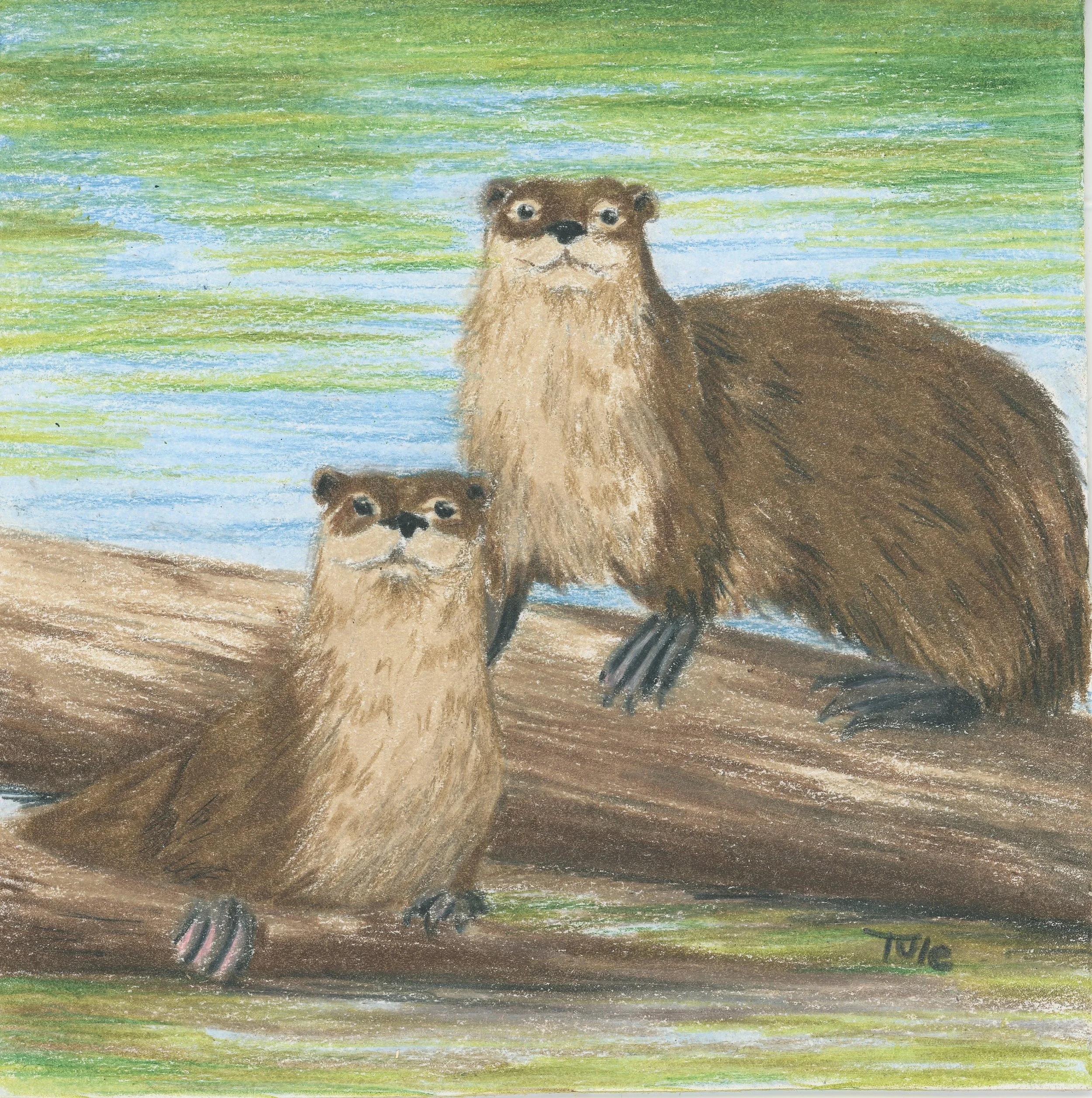 Otter Club.jpg
