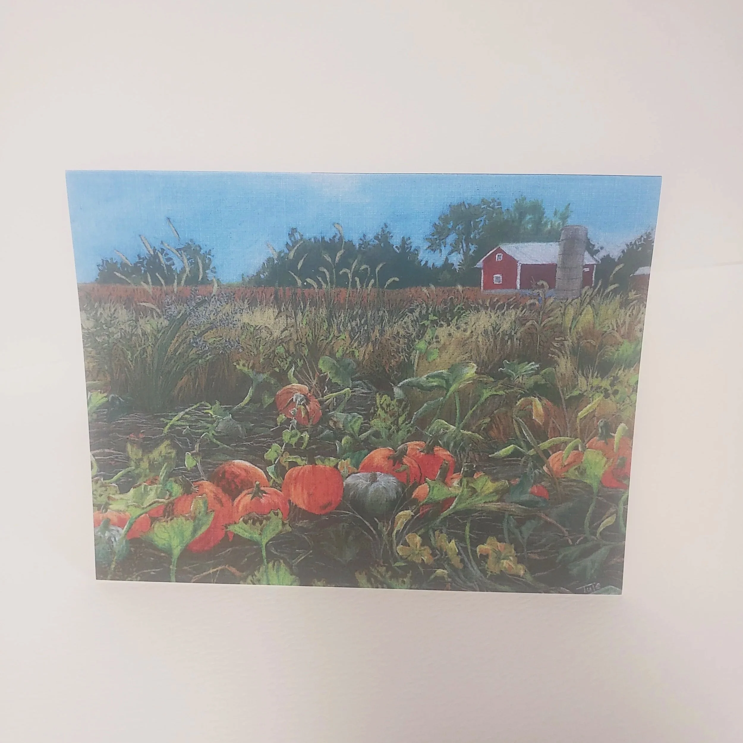 Pumpkin Patch Greeting Card