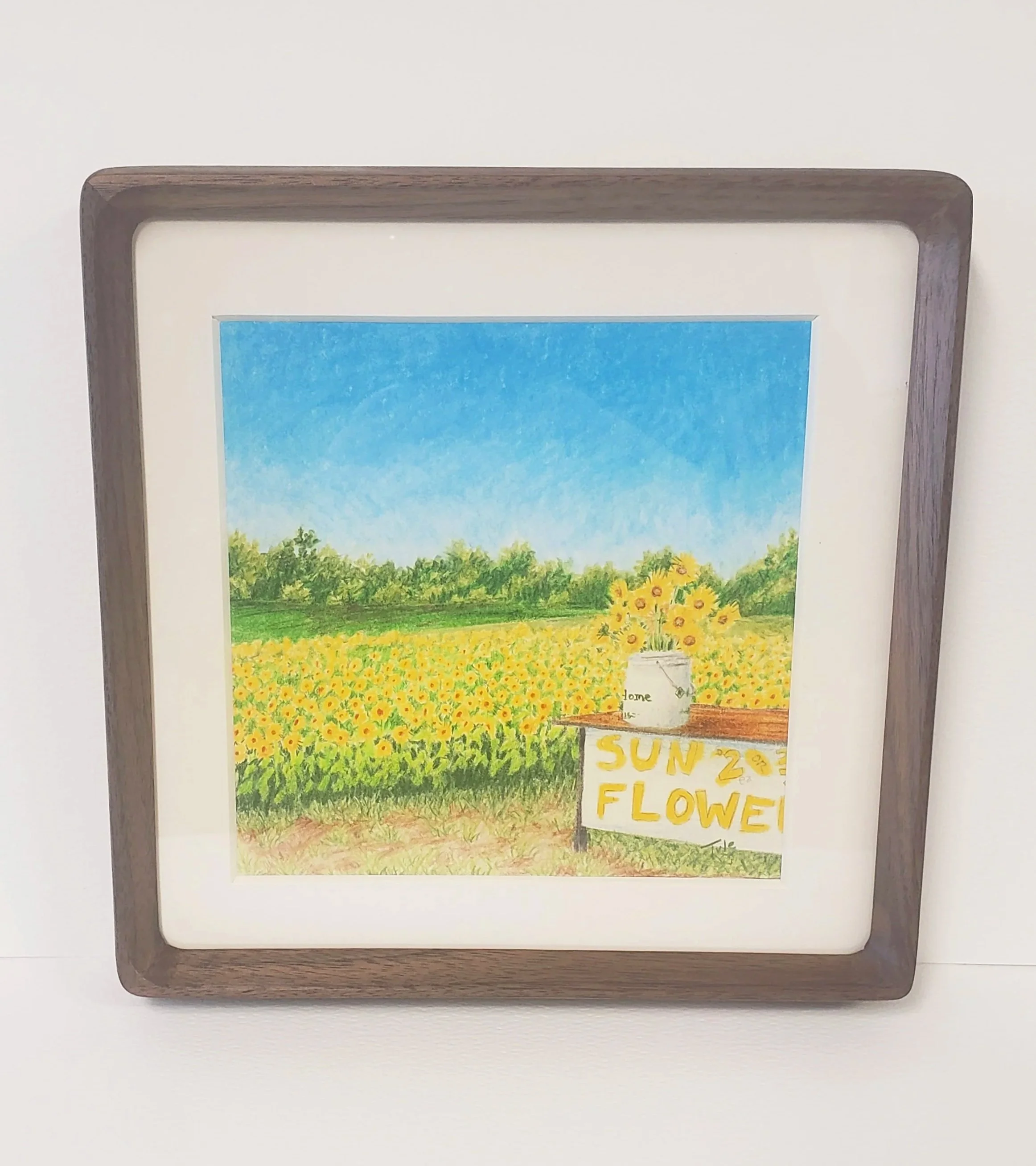 Buy A Bit Of Sunshine Original Colored Pencil Drawing