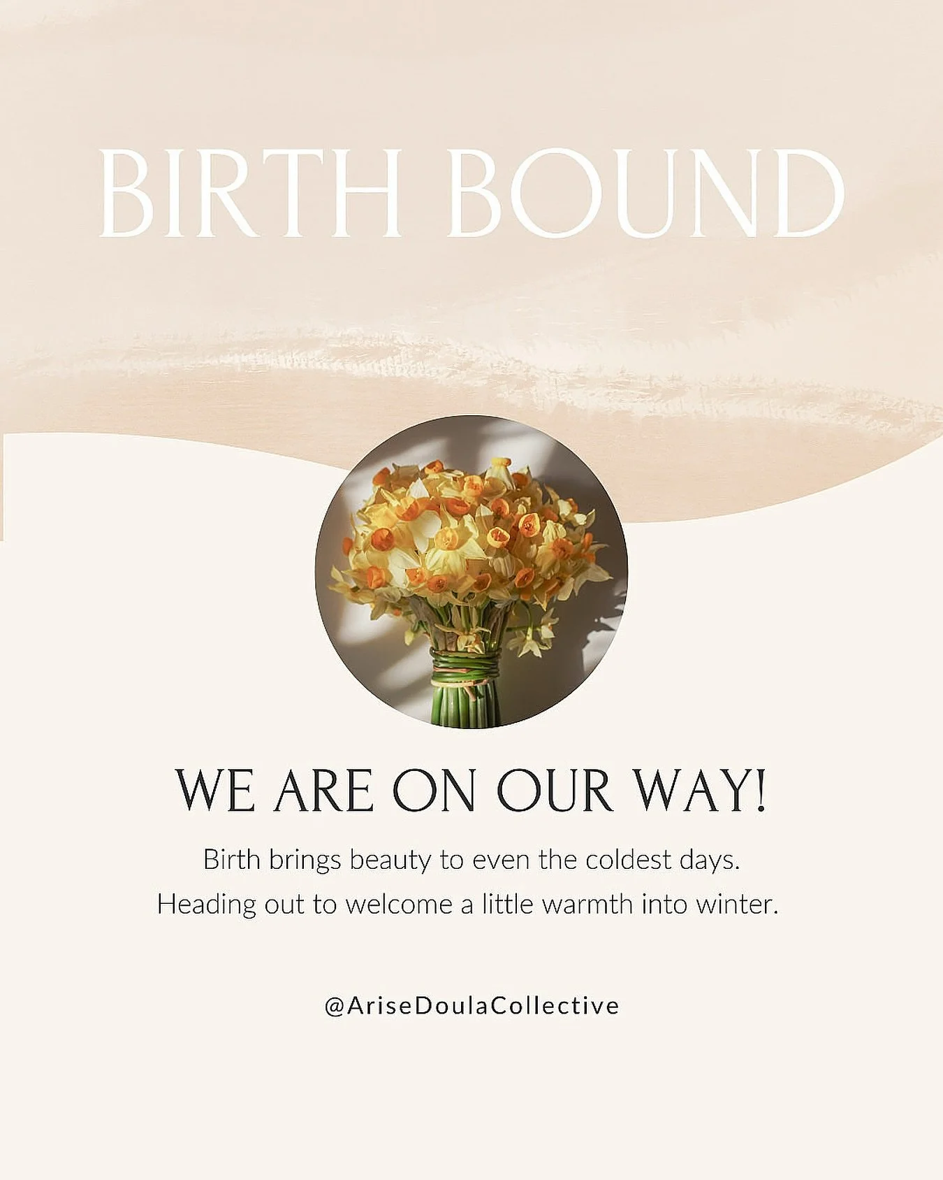 What a blessing, another baby is on the way! This second time mom had a fast first birth and we are so excited to see how this one unfolds.