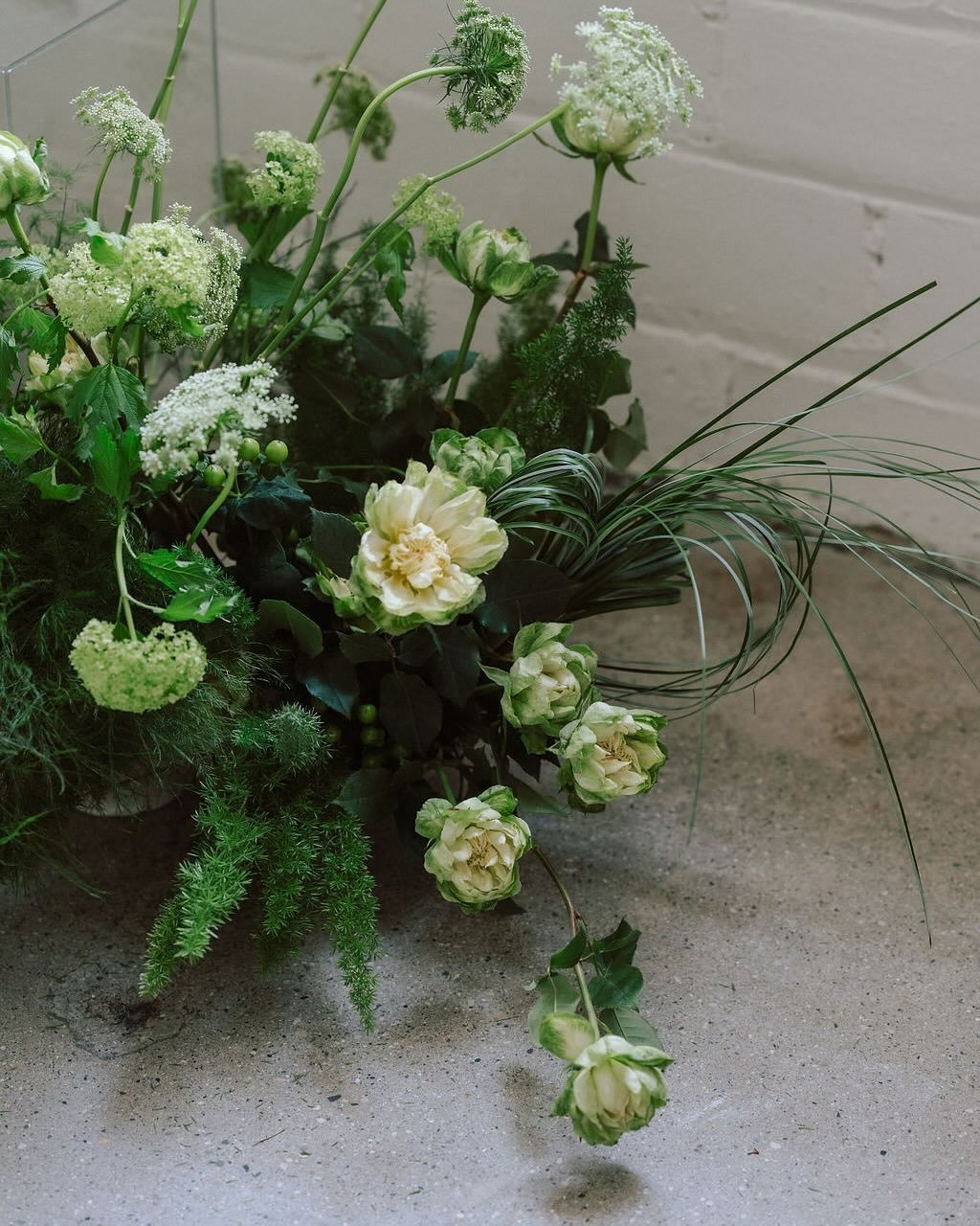A little greenage for your Saint Pat&rsquo;s 🍀🌿🥬💚
