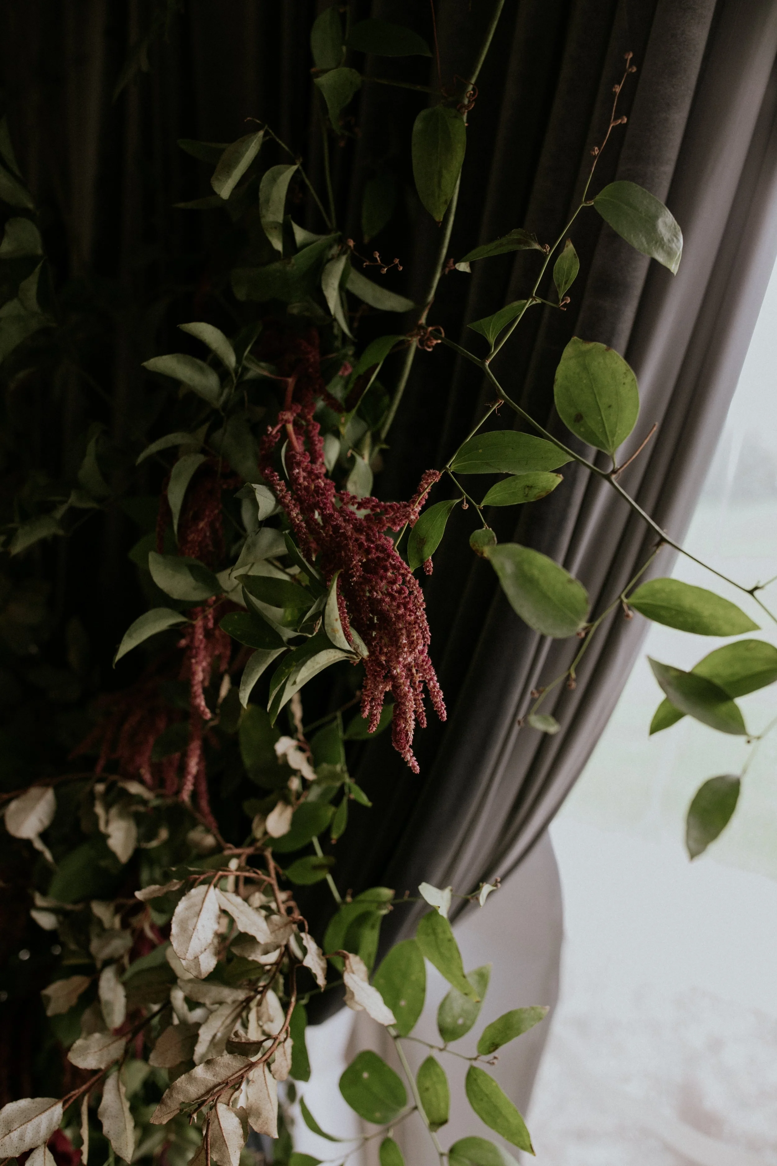 erinhannumphotography-linnaeafloral-7.jpg