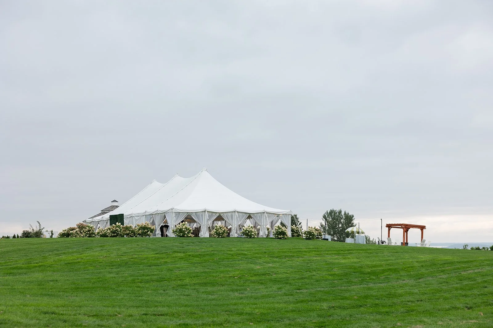 Shane _ Wedding Previews-66.jpg