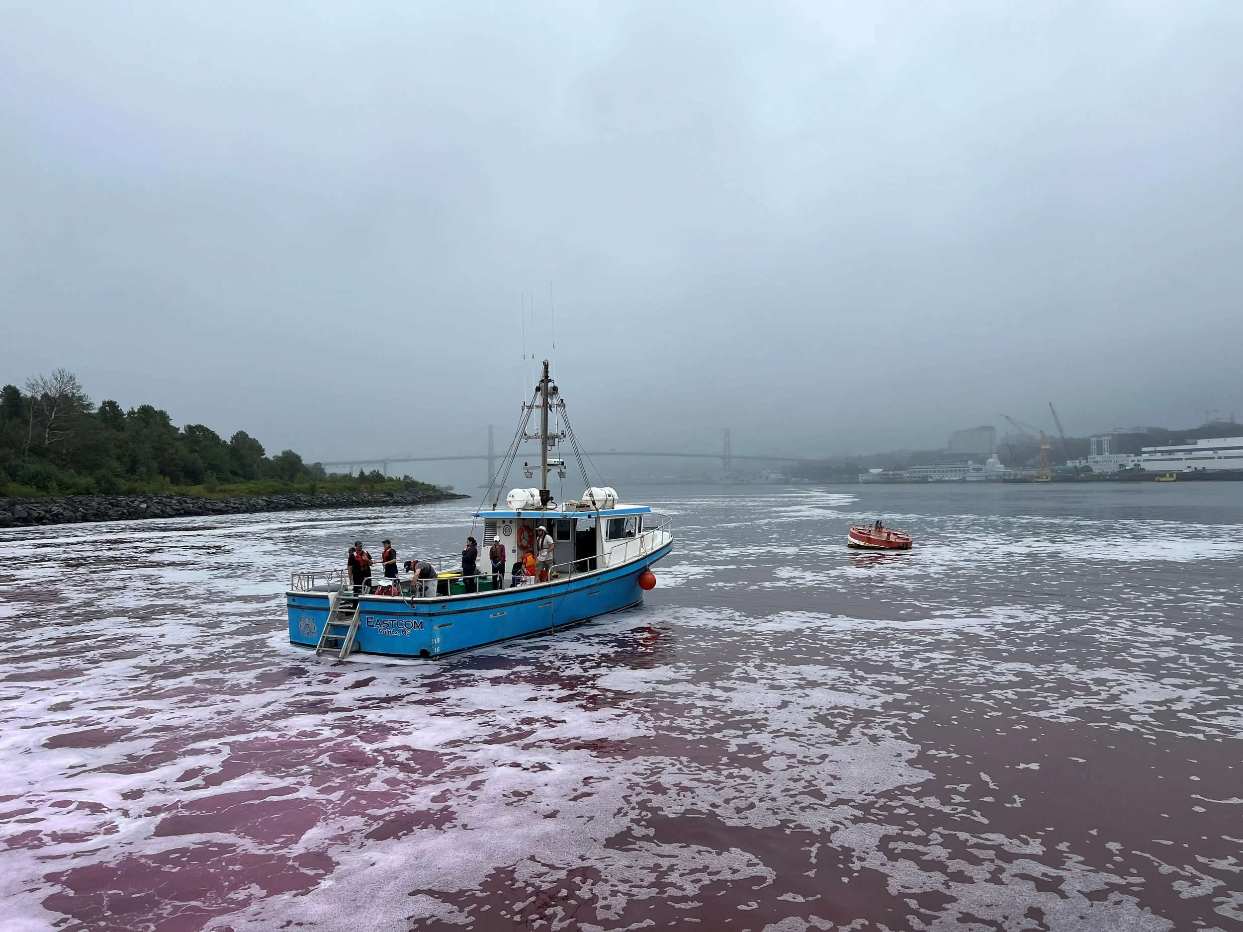 Inventive intervention for the climate