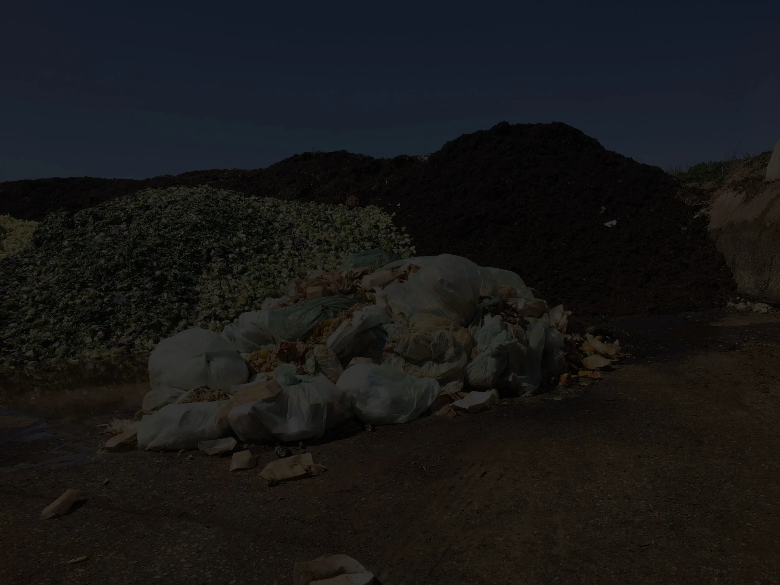 raw+food+waste+dark.webp