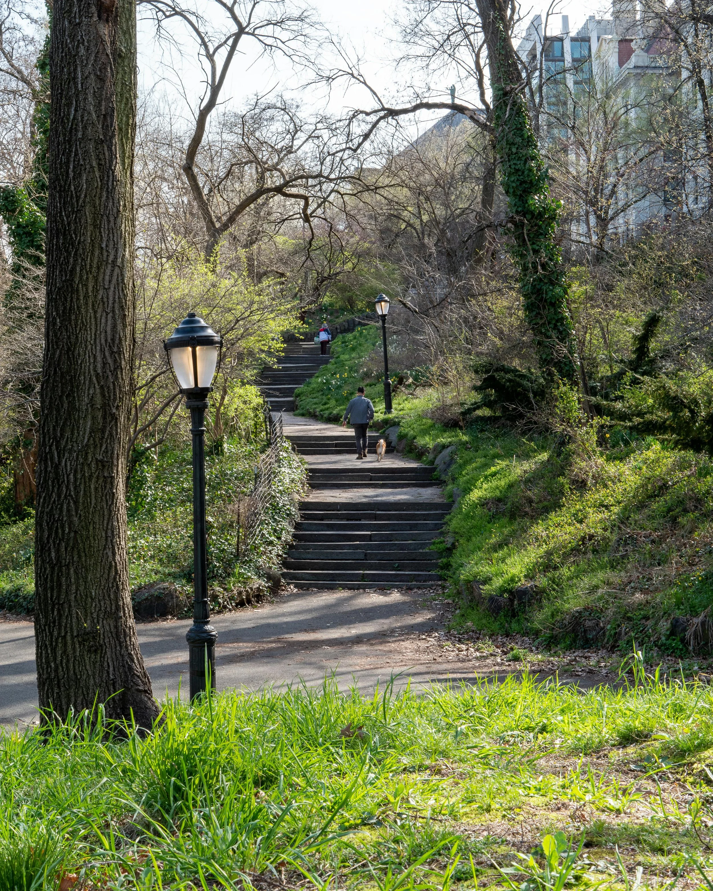 WALK IN THE PARK (In Person – NYC)