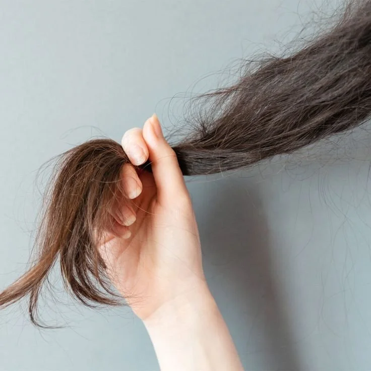 Breakage Risk Factors in NYC (Ponytails, Hot Tools, Weather)