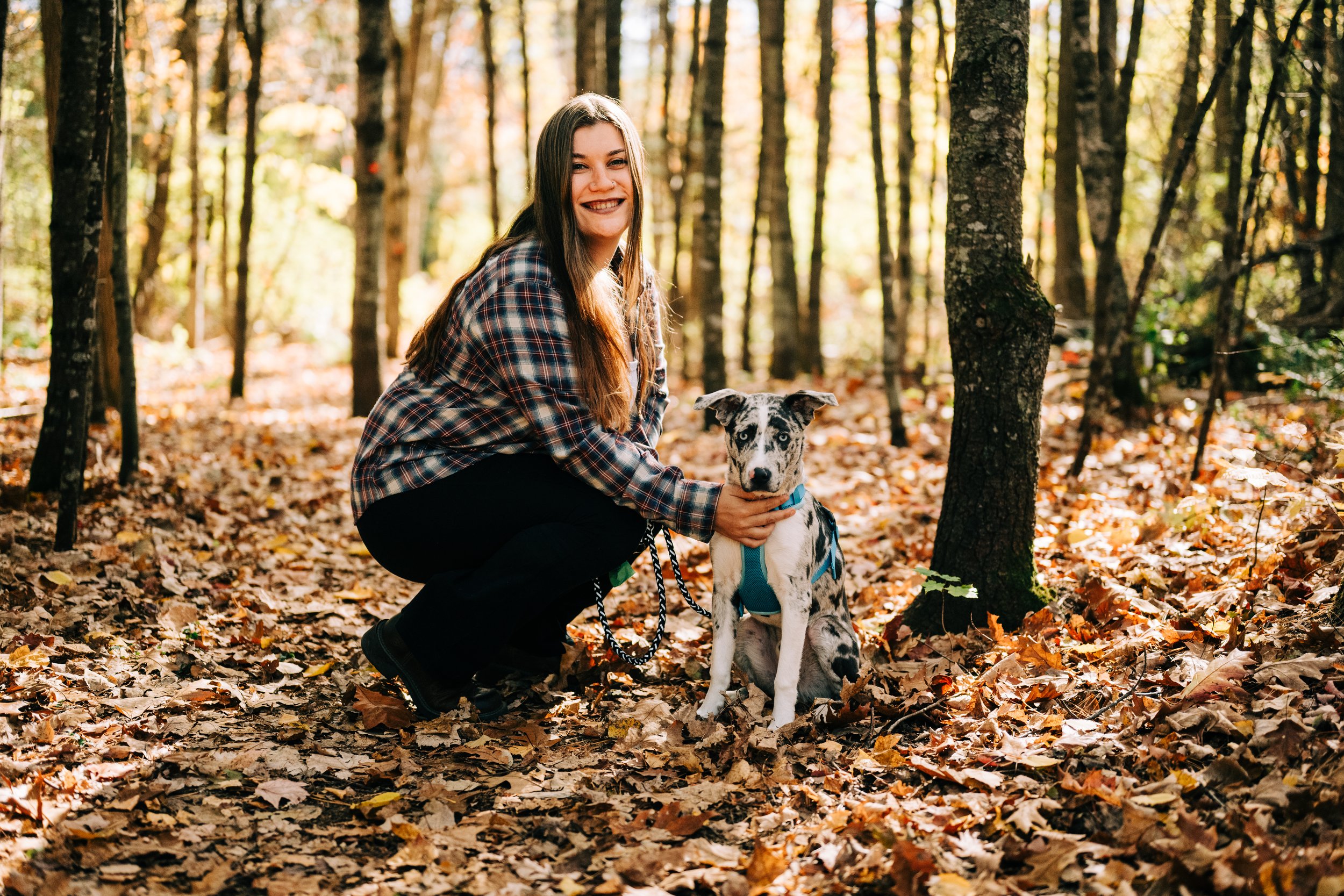 A woman in a plaid shirt squatting in a forest with fallen autumn leaves while holding a spotted dog with a blue harness and leash.