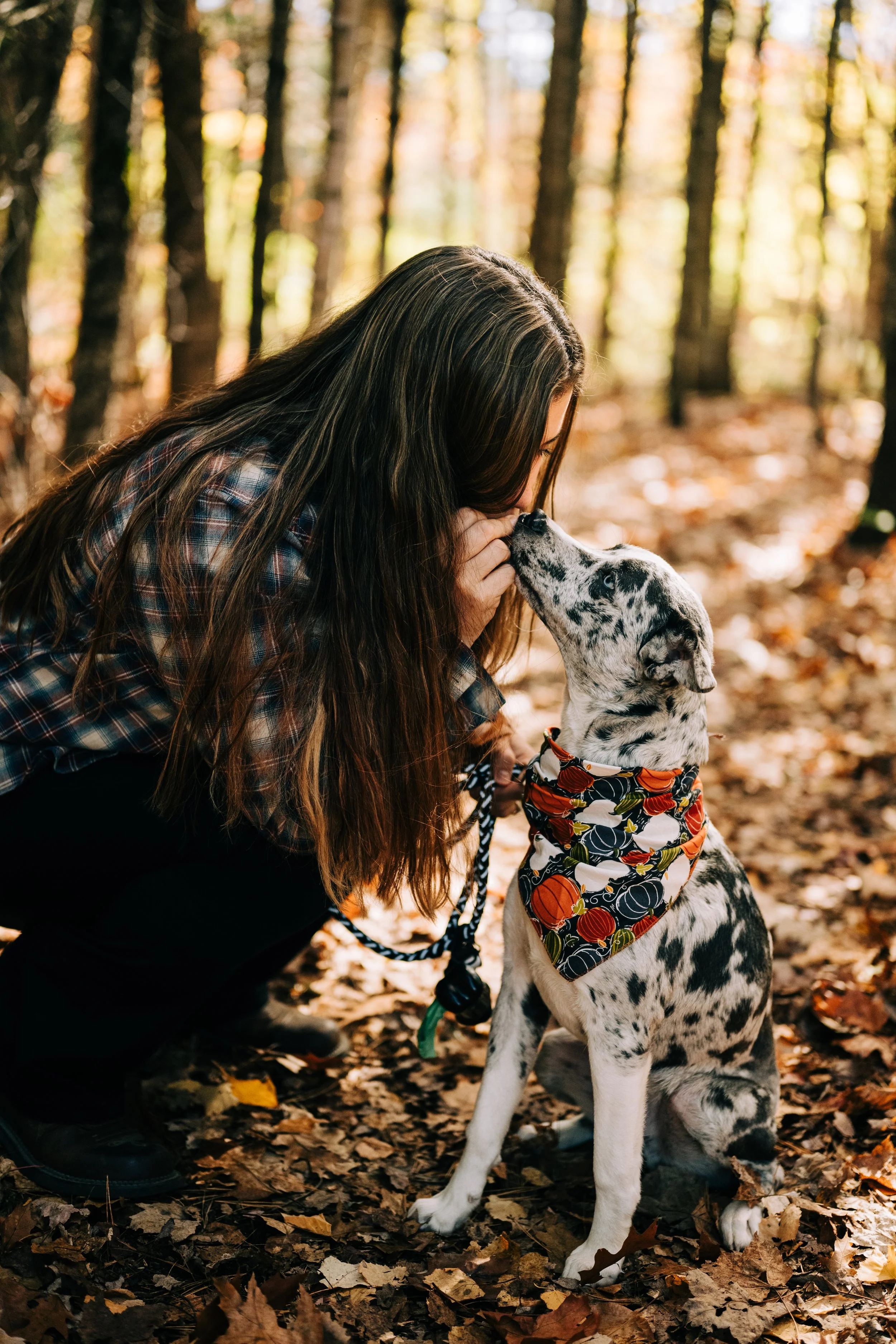 A woman crouching in a forest with autumn leaves, touching noses with a Dalmatian puppy wearing a pumpkin-themed bandana.