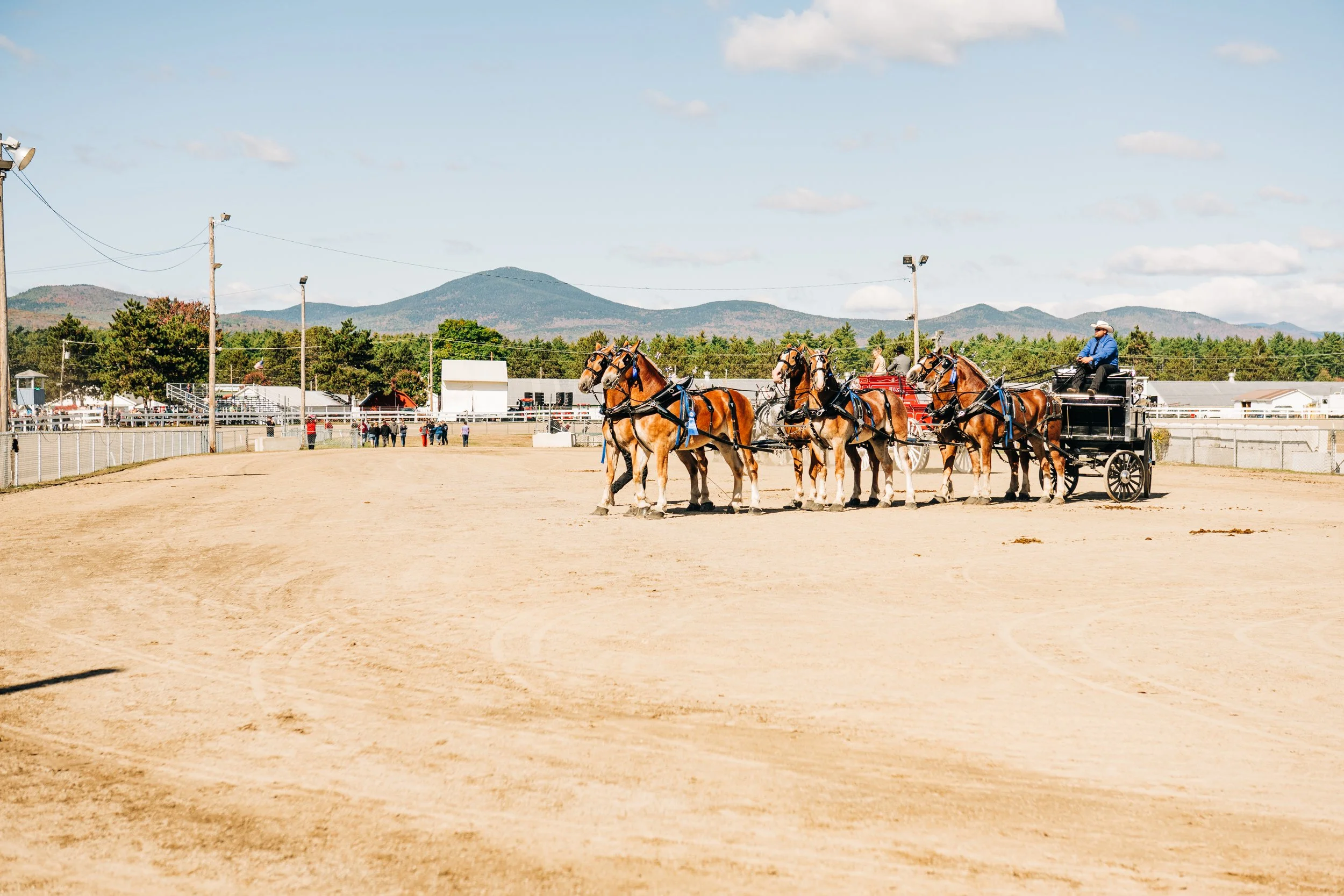 A horse-drawn carriage with seven horses on a dirt racetrack, with a person in a blue shirt and cowboy hat driving, and spectators in the background under a partly cloudy sky with mountains in the distance.