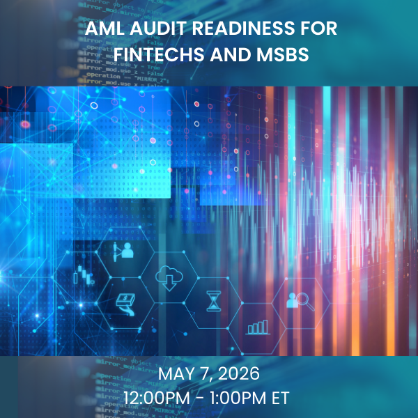 AML Audit Readiness for Banks, Fintechs and MSBs