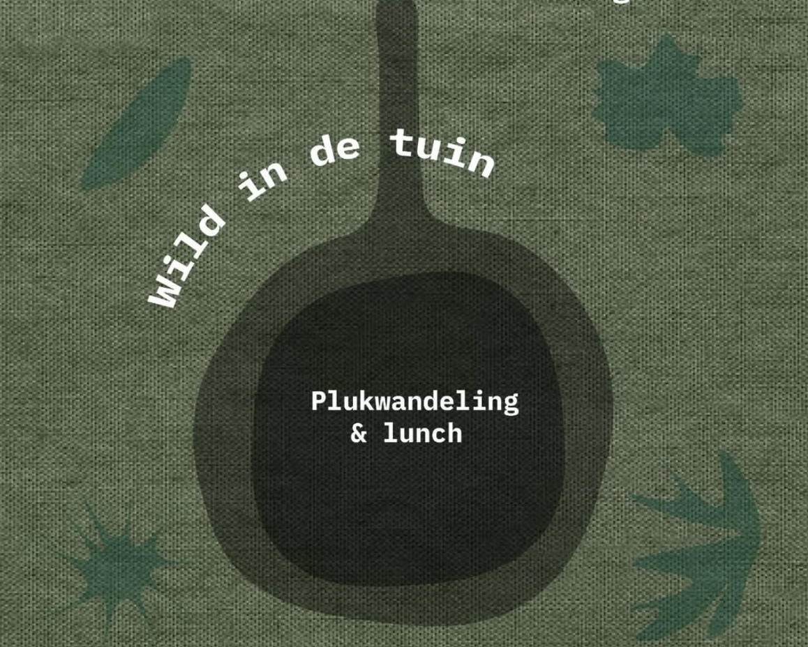 Wild in de tuin: Wildplukwandeling + Lunch (Copy)