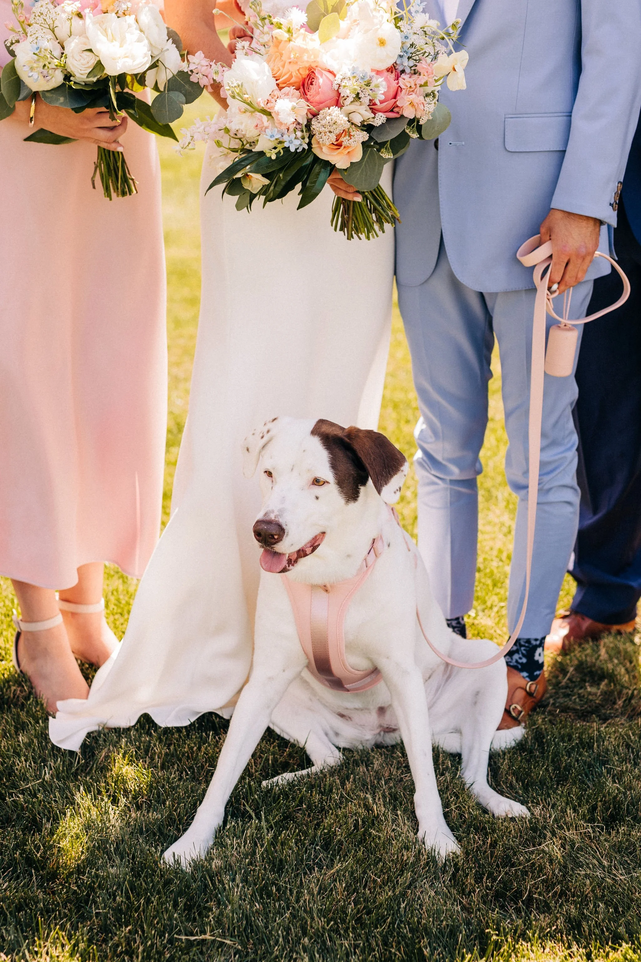 ANJA+WILL-471.jpg
