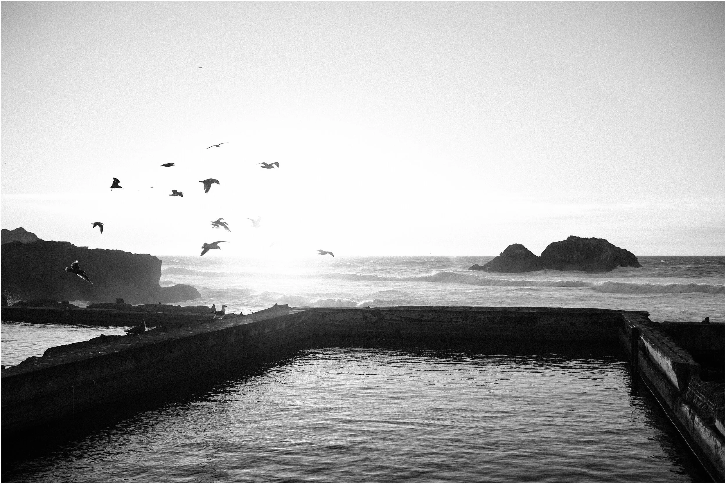 hannah leigh photography san francisco ca engagement session_5345.jpg