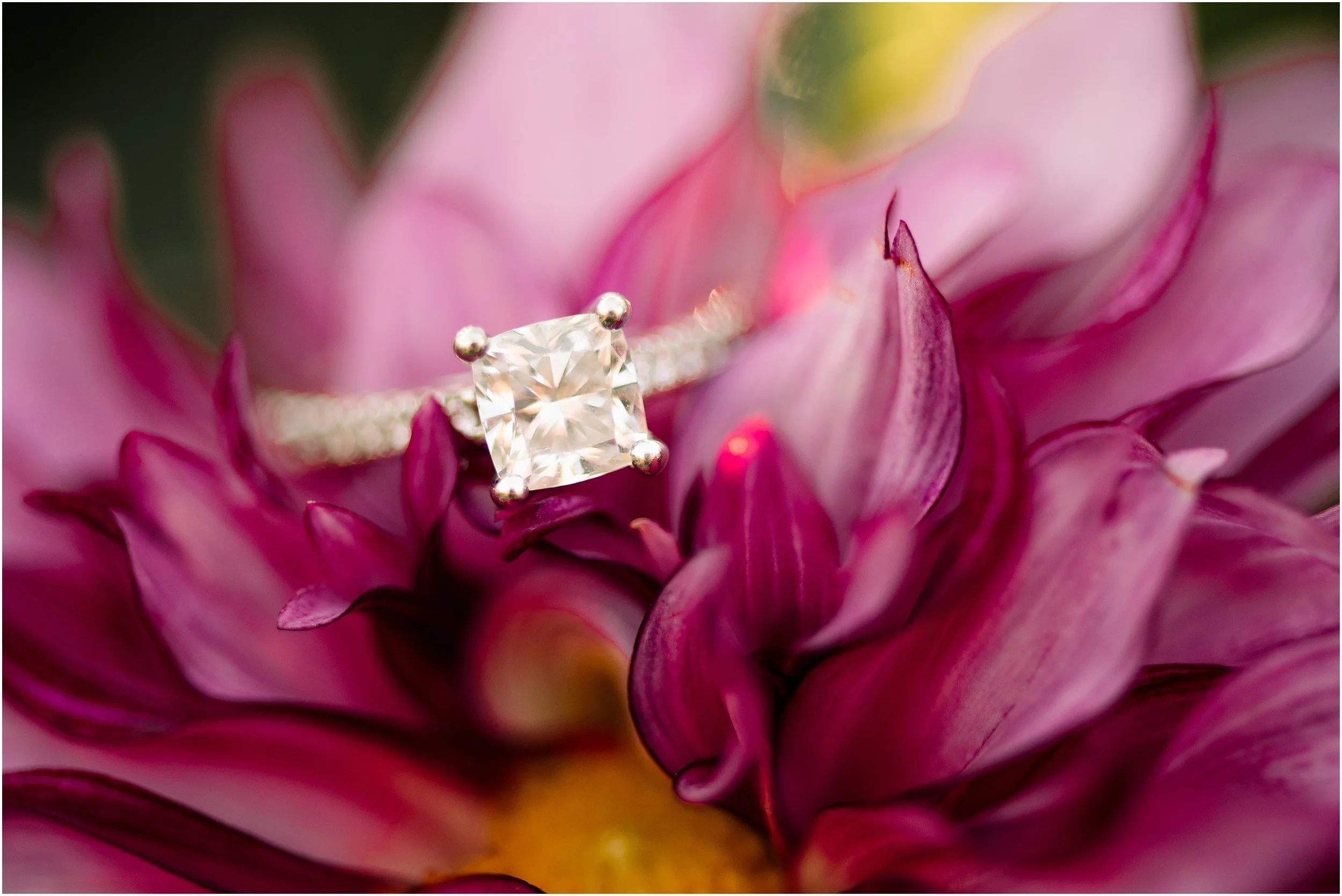 hannah leigh photography longwood gardens engagement session_1700.jpg