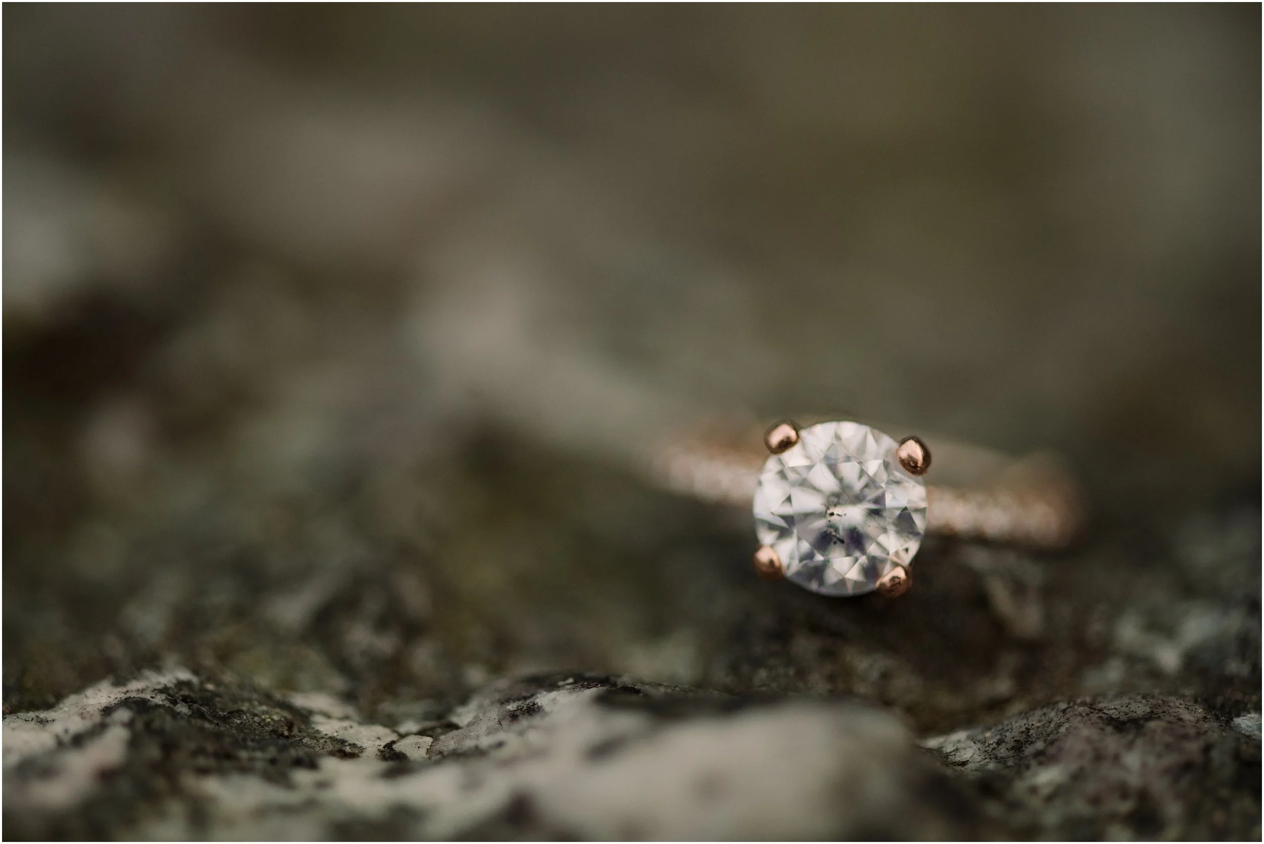 hannah leigh photography woodsy engagement session PA_1628.jpg