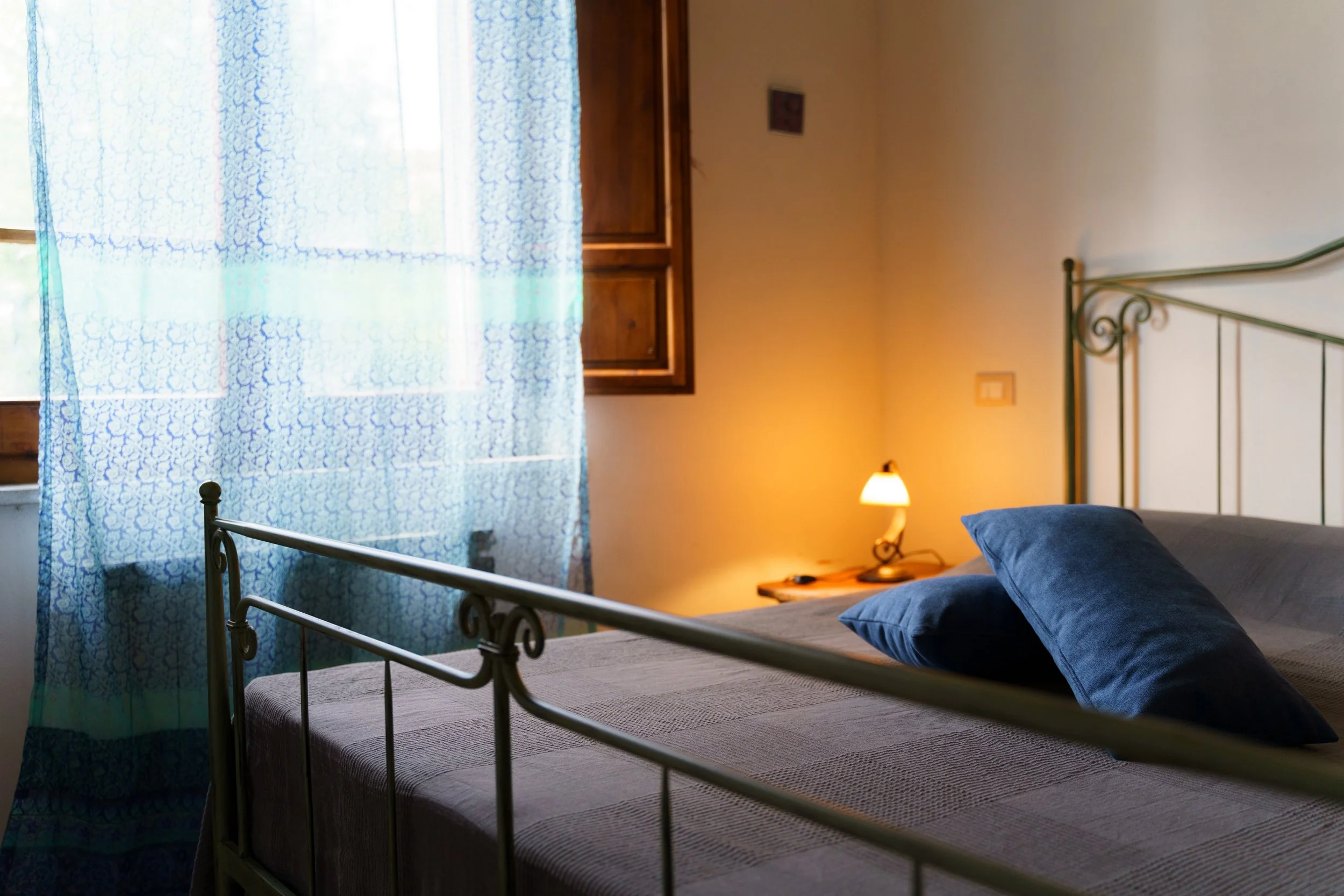 bella foto Artemisia1.jpg