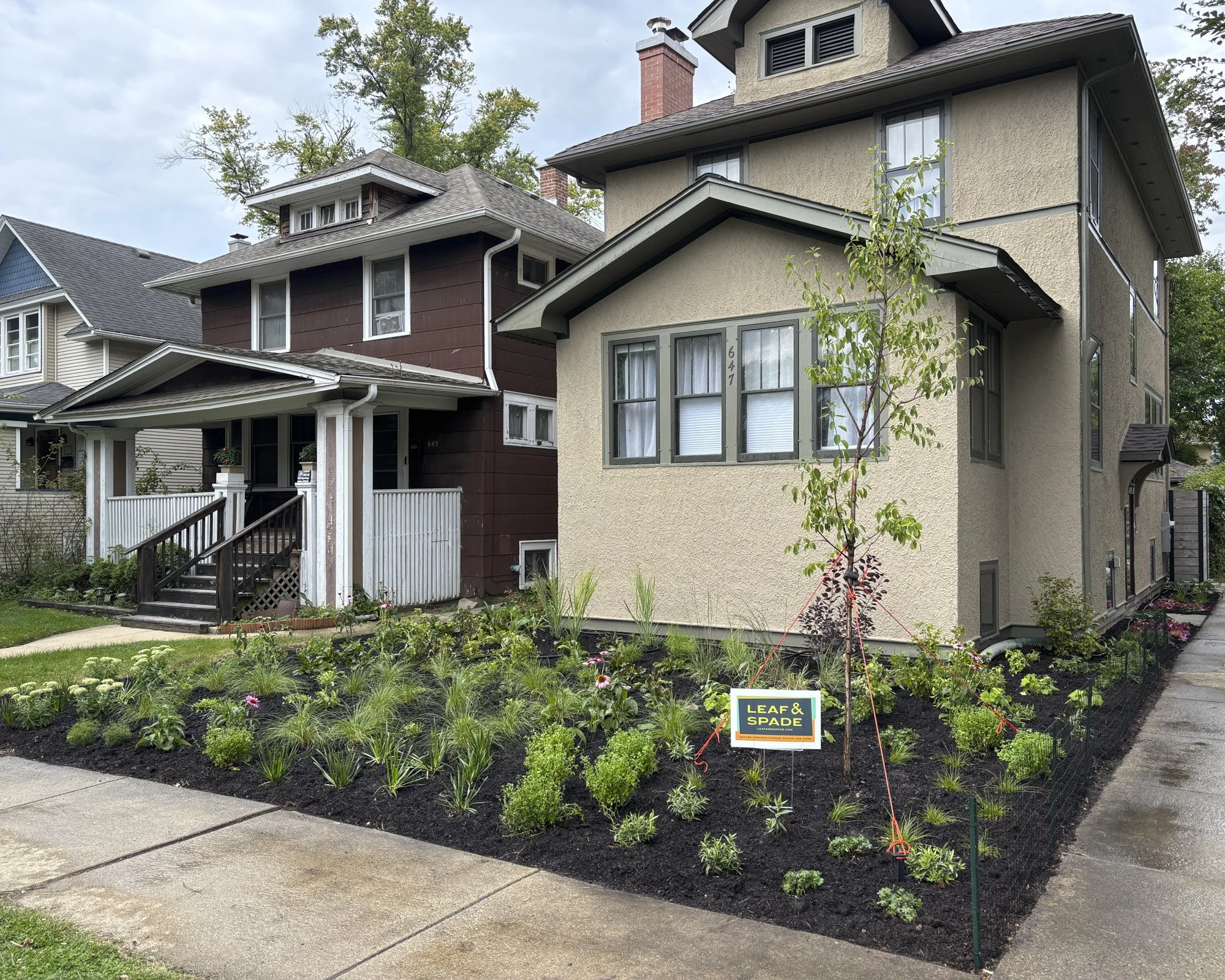 Penney web images-3.jpg