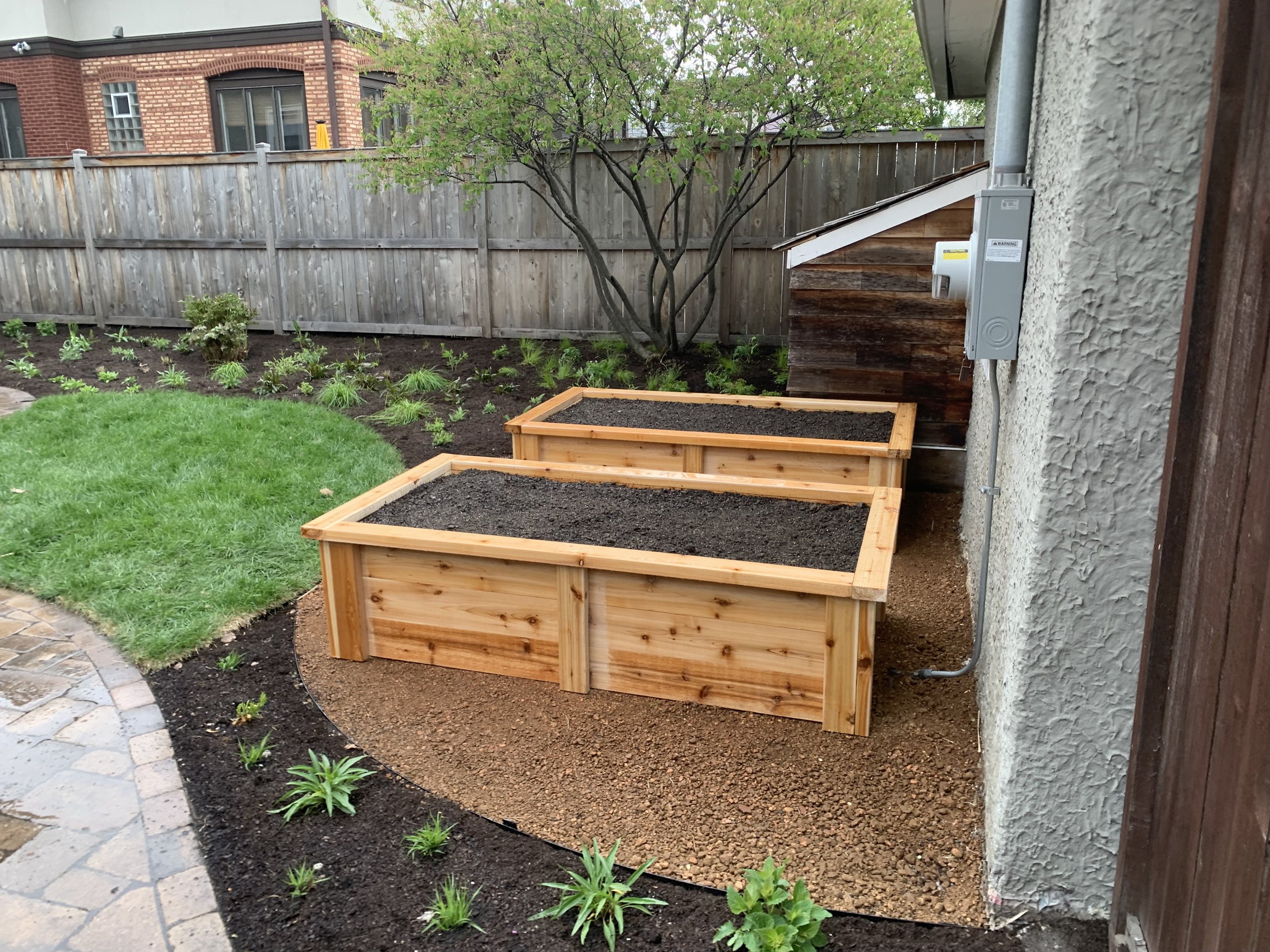 Two raised garden beds filled with soil, located in a backyard with a green lawn, young plants, a tree, a stone pathway, and a wooden fence. In Oak Park, Illinois.