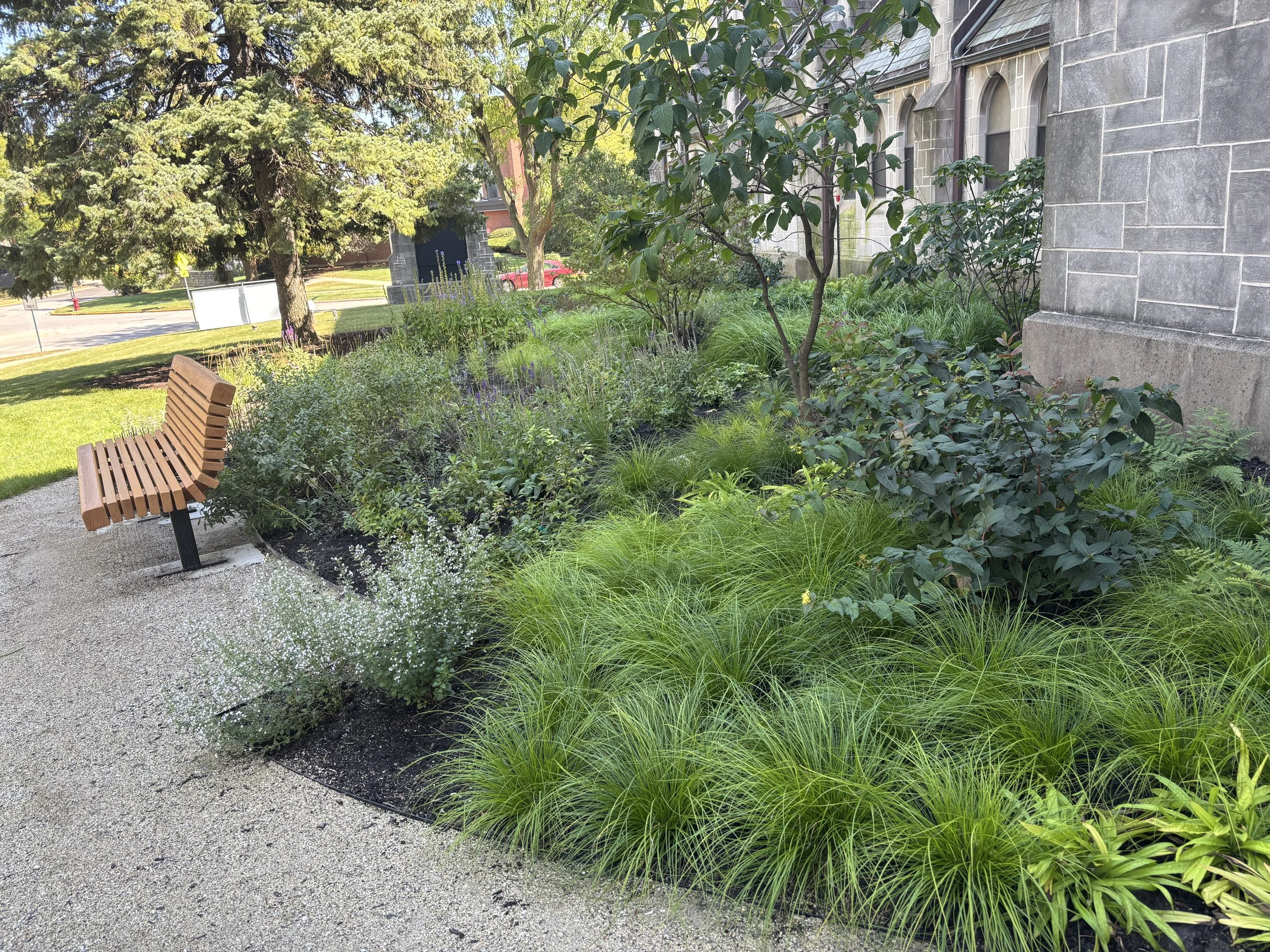 A garden with various green shrubs and grasses next to a stone building, a wooden park bench on a gravel path, and trees in the background on a sunny day.