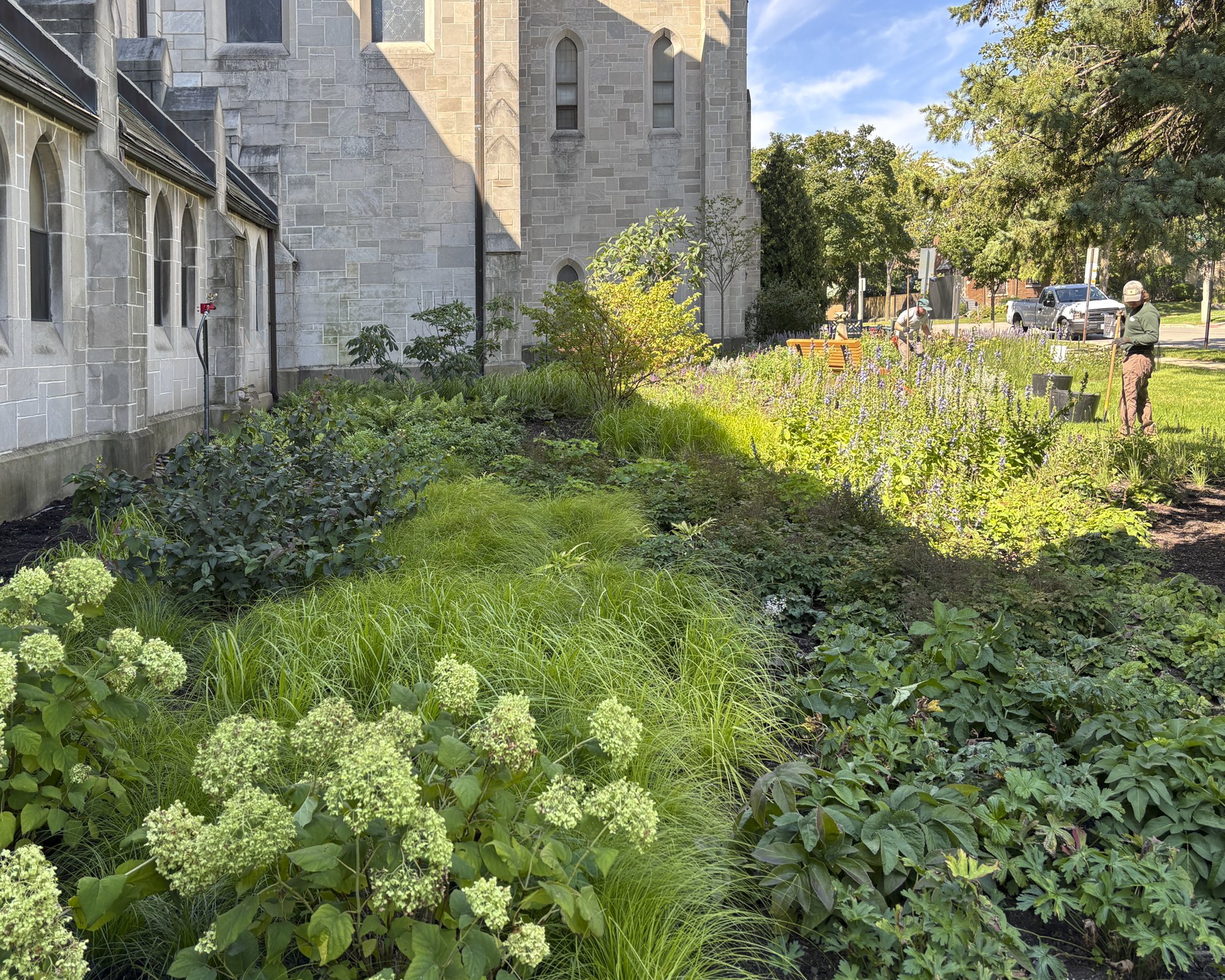 ULC web images-5.jpg