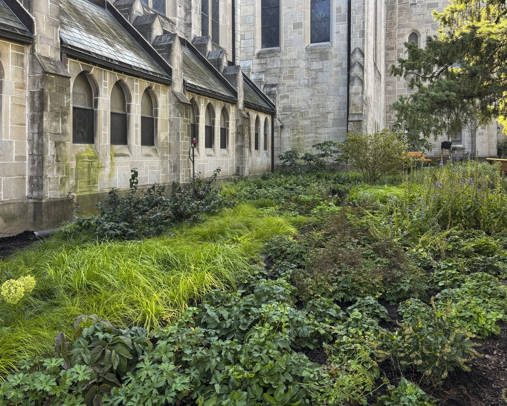 ULC web images-4.jpg