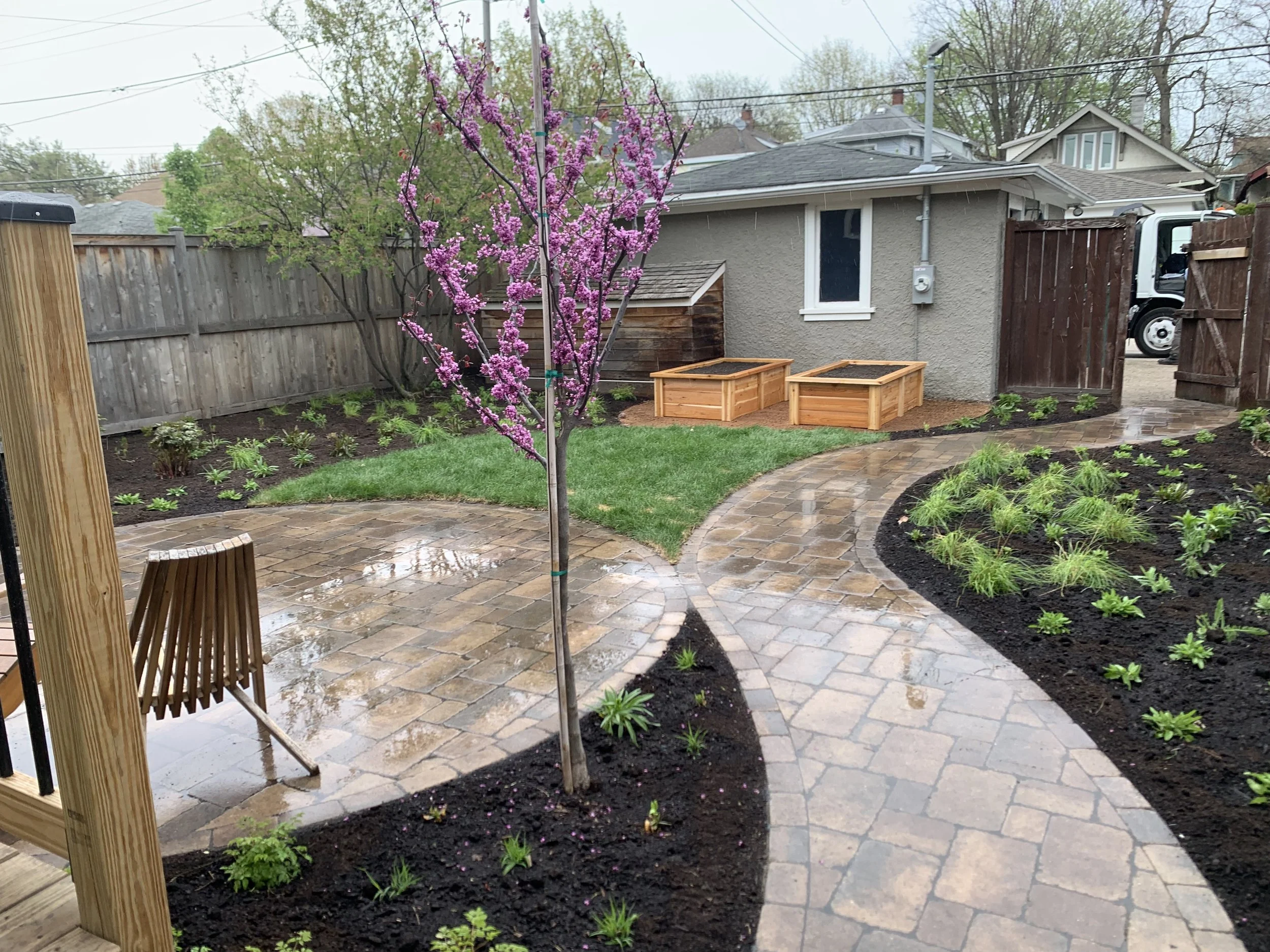 A backyard Oak Park, Illinois garden with a curved brick pathway, a small pink flowering redbud tree, freshly planted garden beds, and a wooden privacy fence.