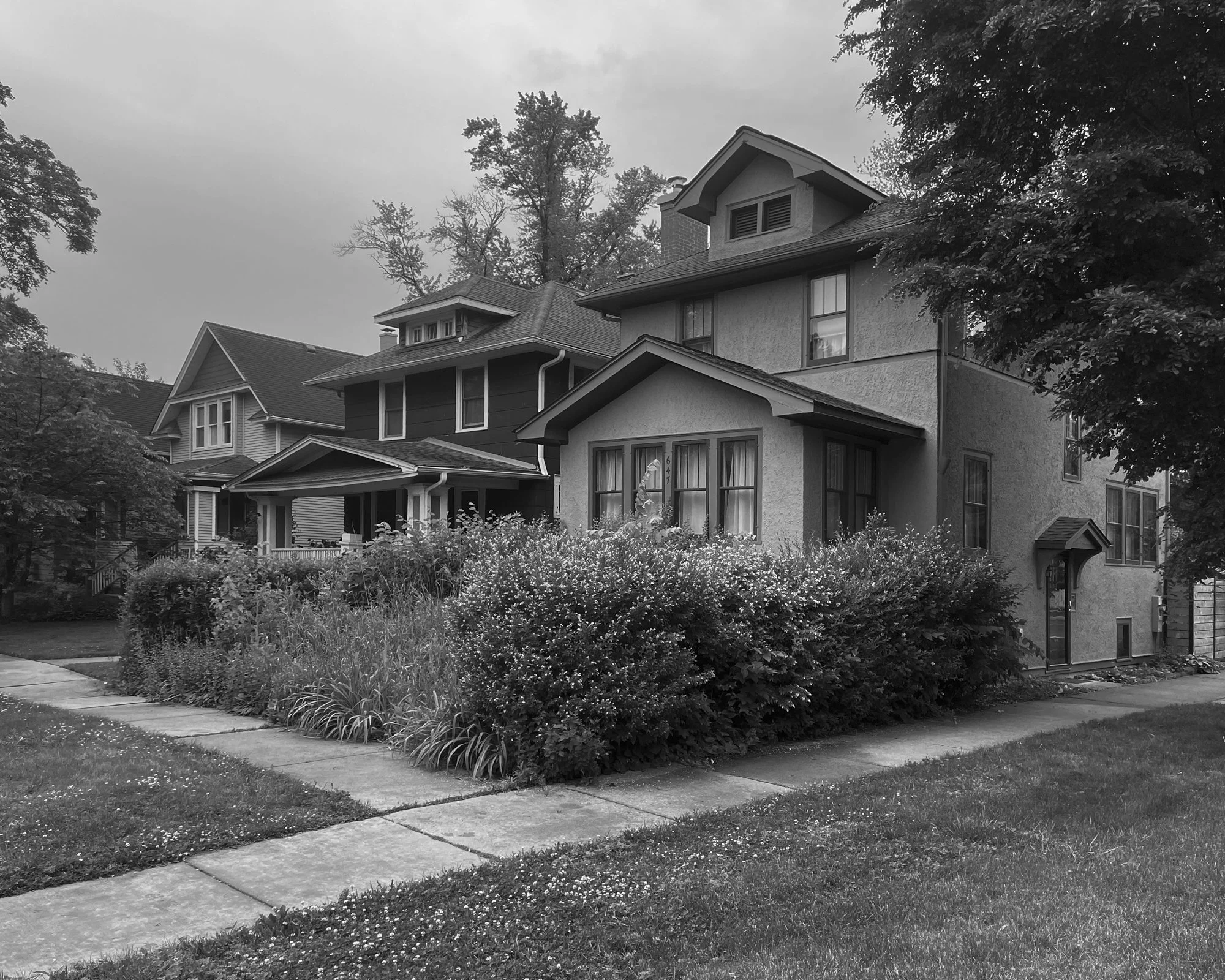 Penney web images-5.jpg