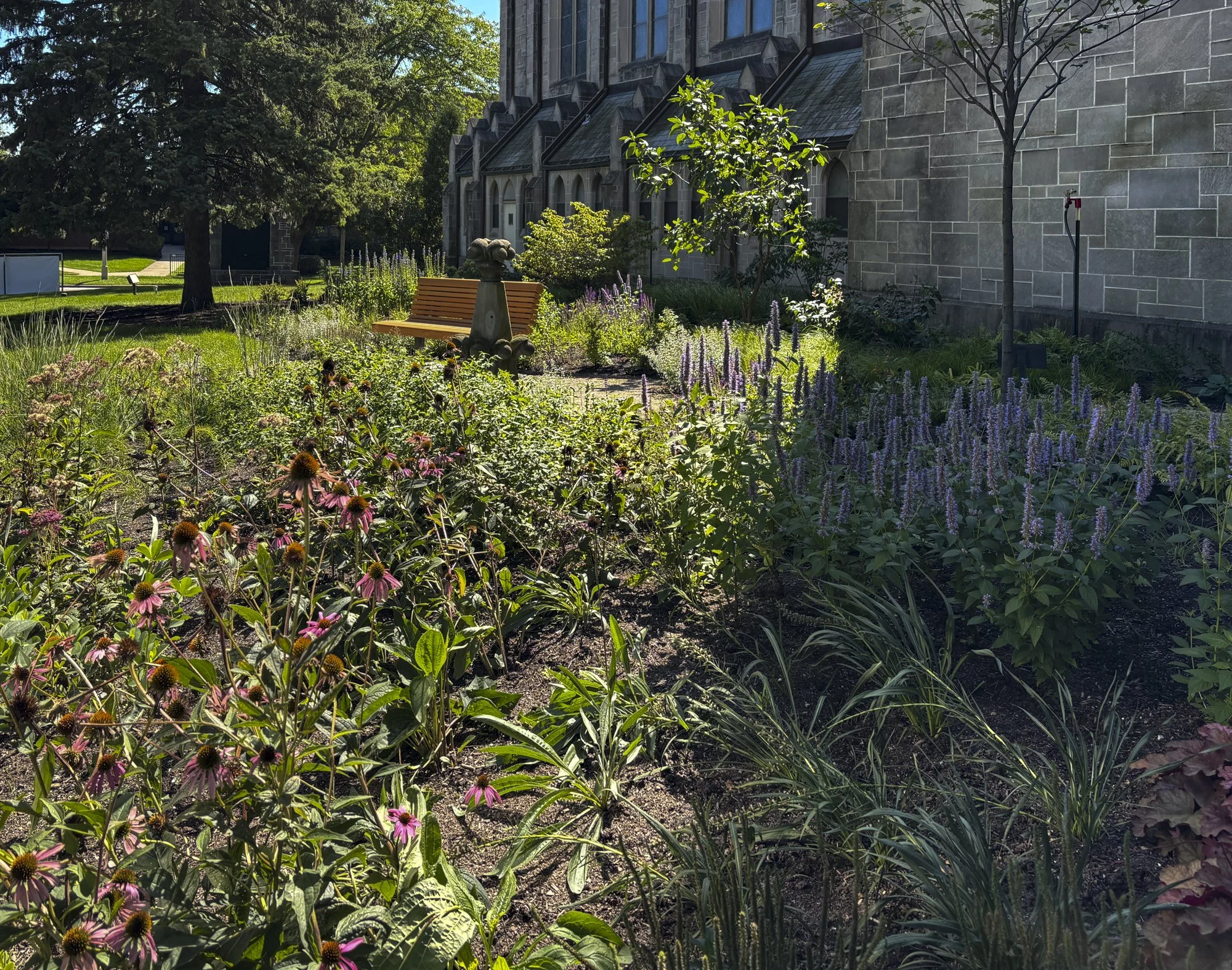 ULC web images-6.jpg