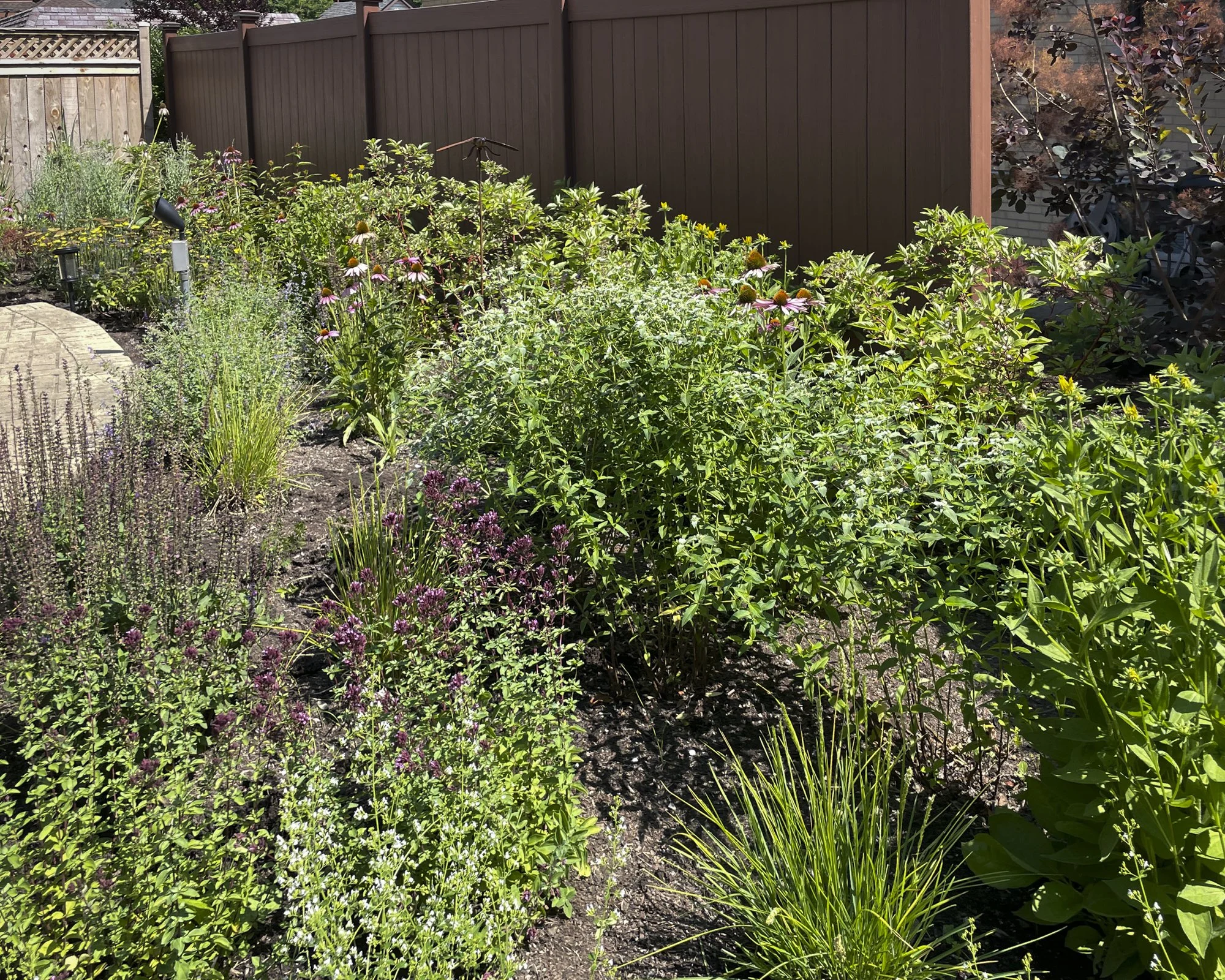 Price web images-2.jpg