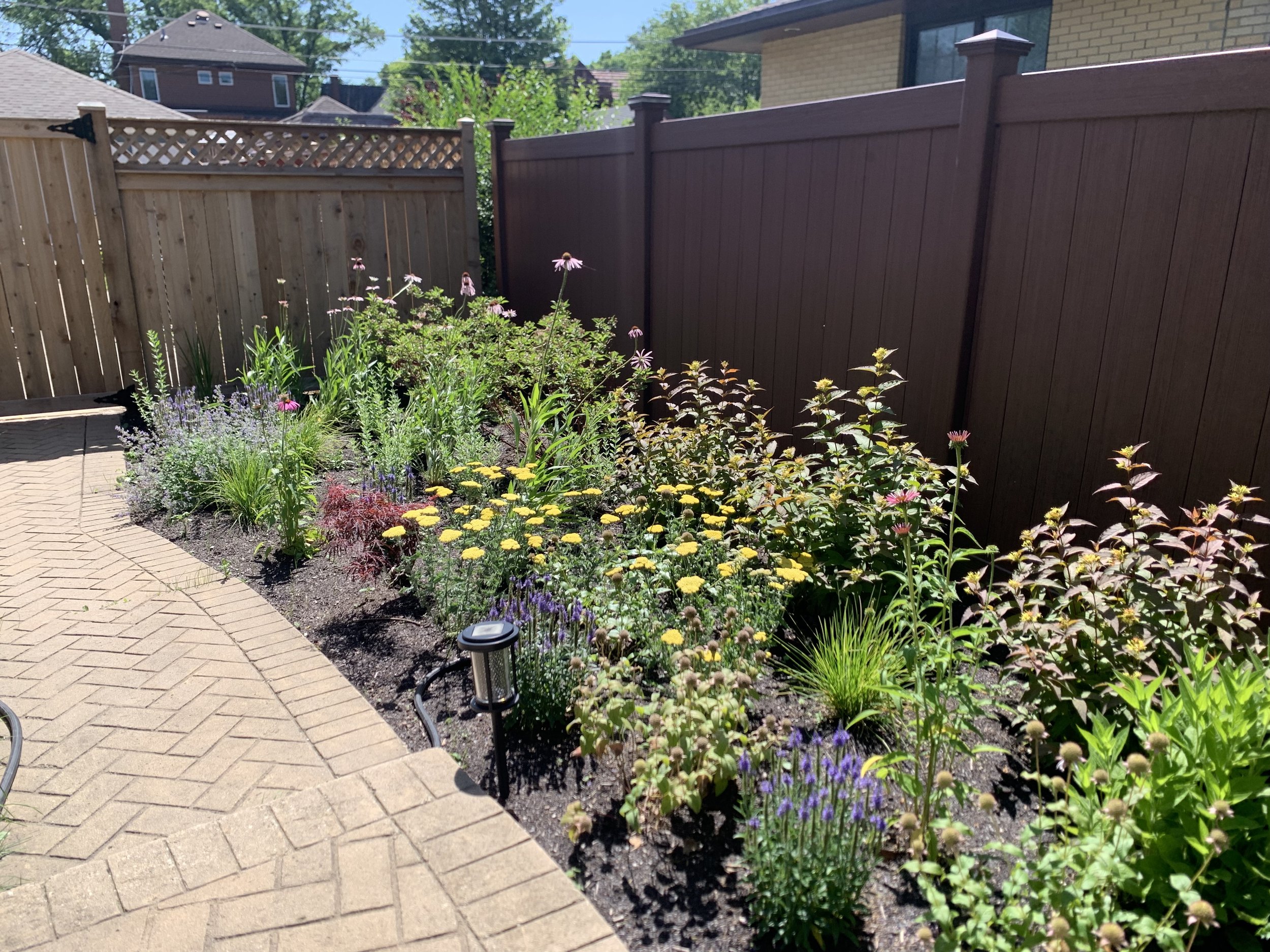 A front yard Oak Park, Illinois garden with colorful flowers, bordered by a curved brick pathway and wooden fencing, on a sunny day.