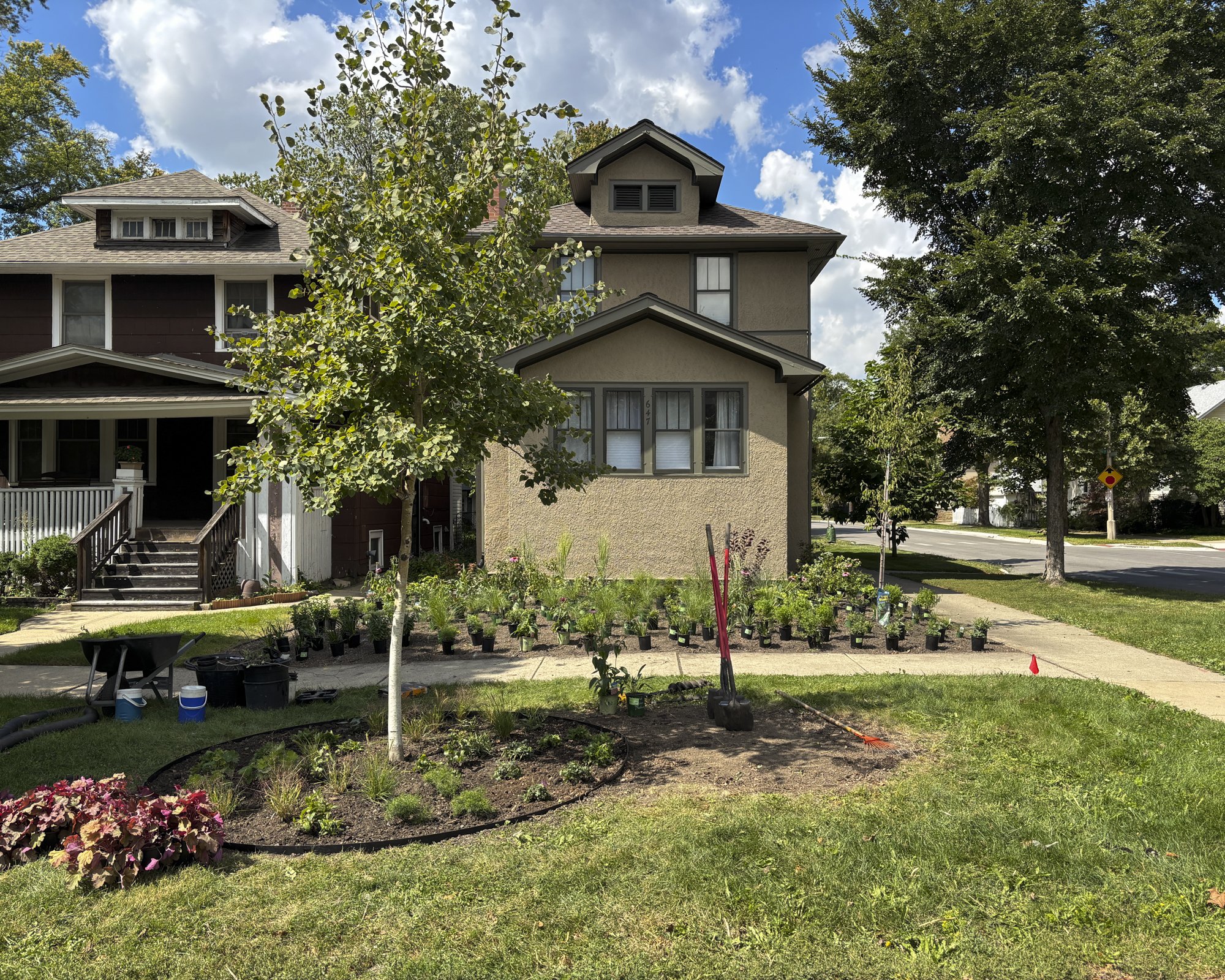 Penney web images-4.jpg