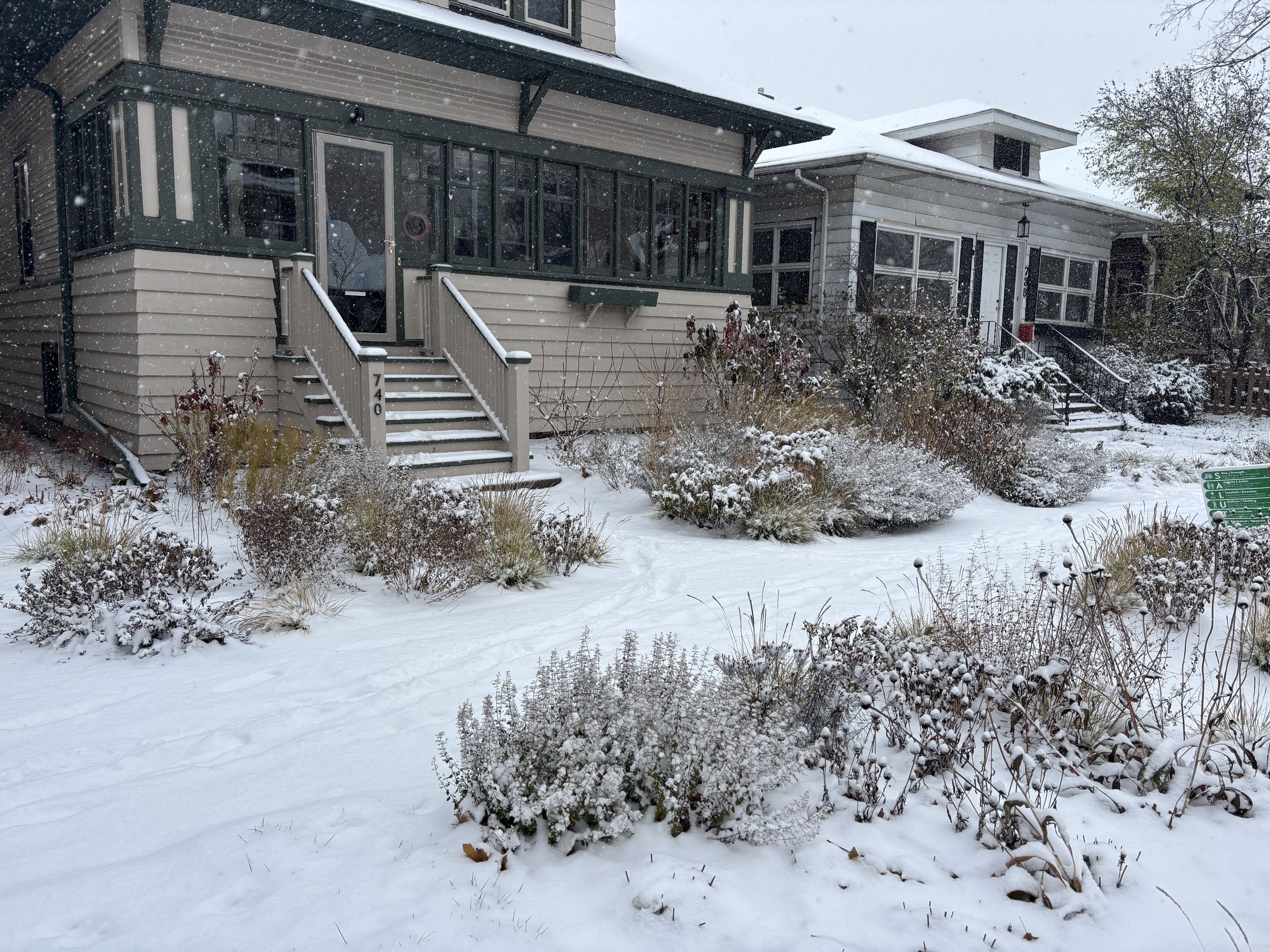 Snow-covered front yard of two houses, with snow on the bushes, stairs, and roof. The houses are in a residential neighborhood, with bare trees in the background.