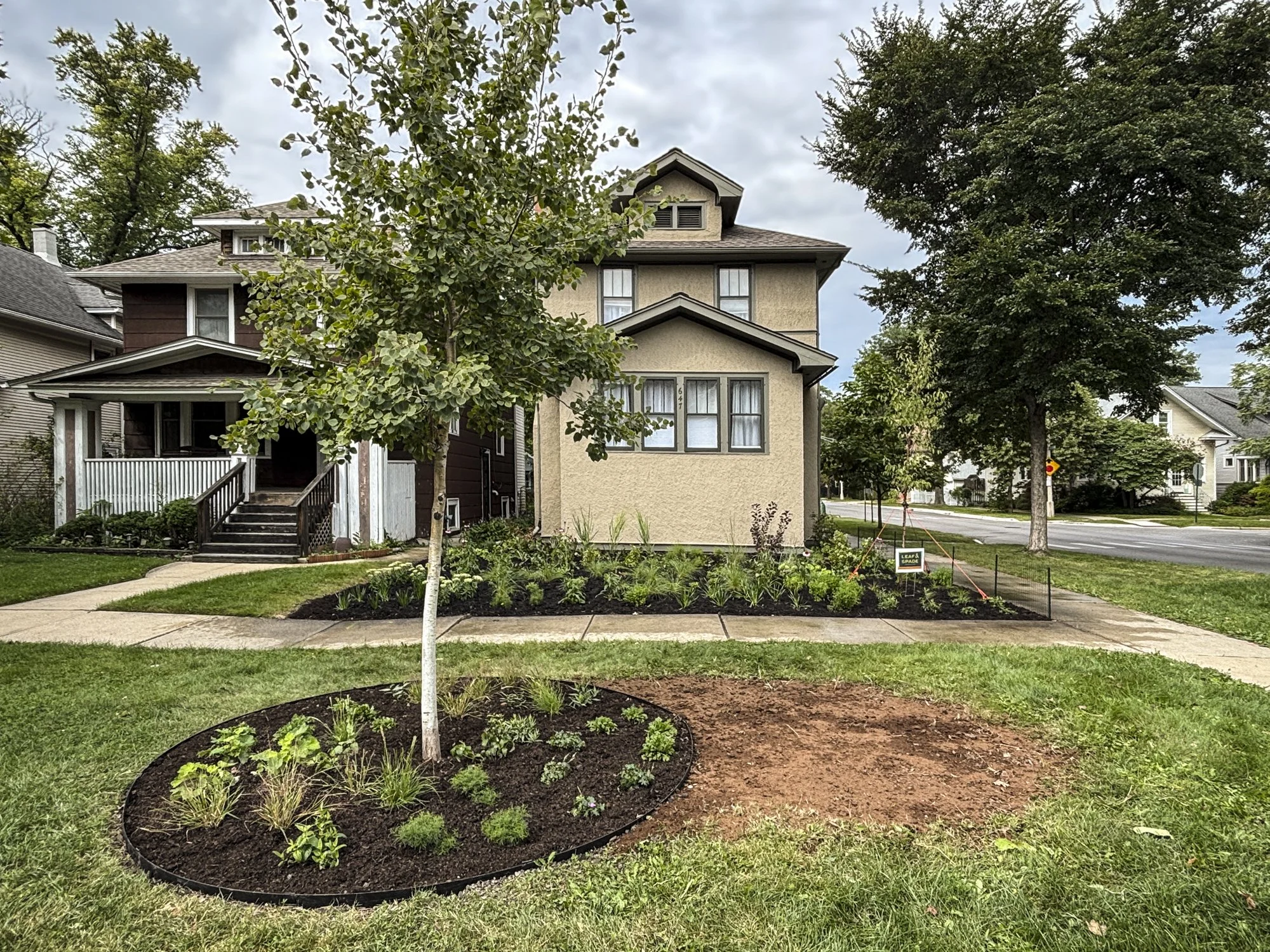 Penney web images.jpg