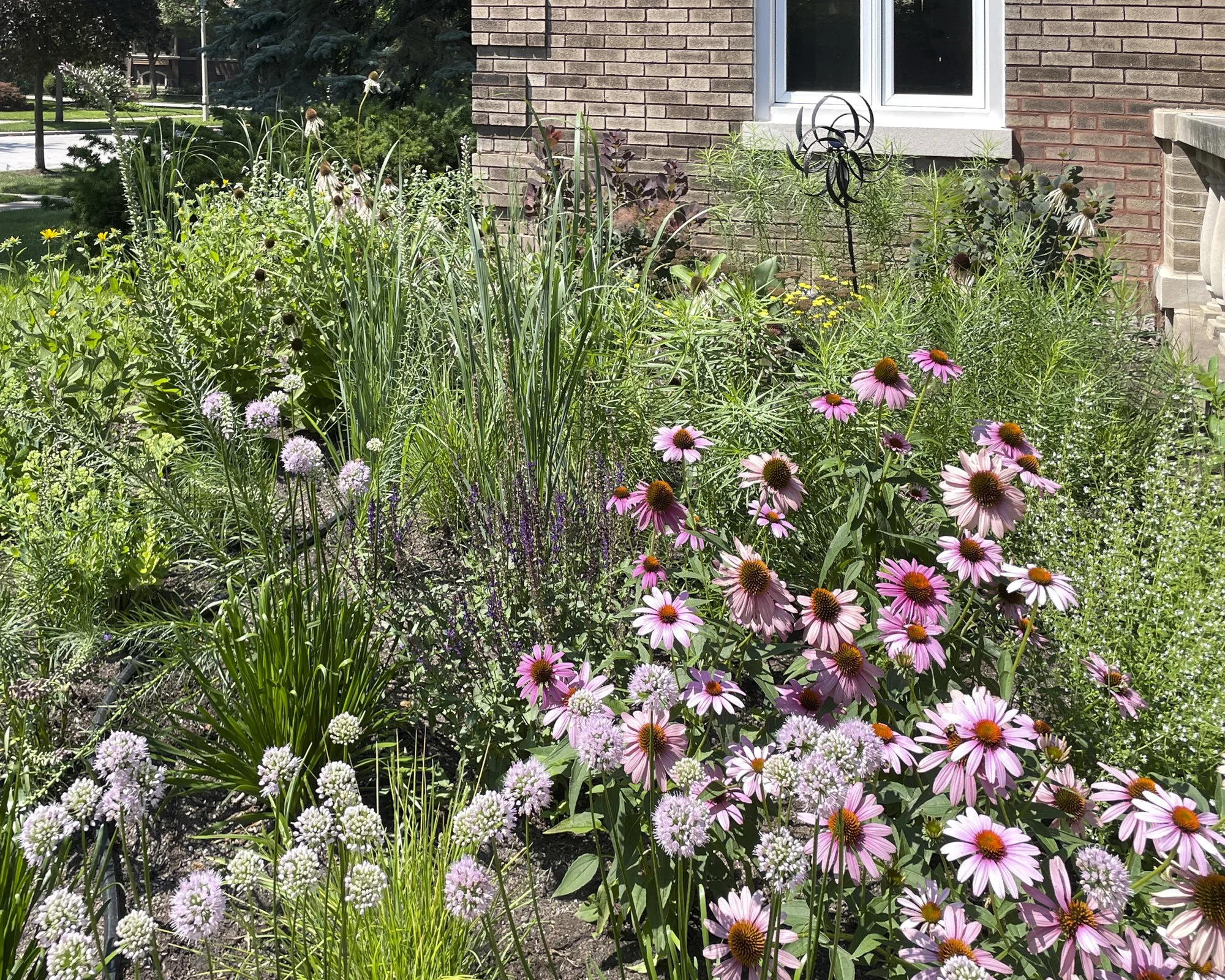 Price web images.jpg