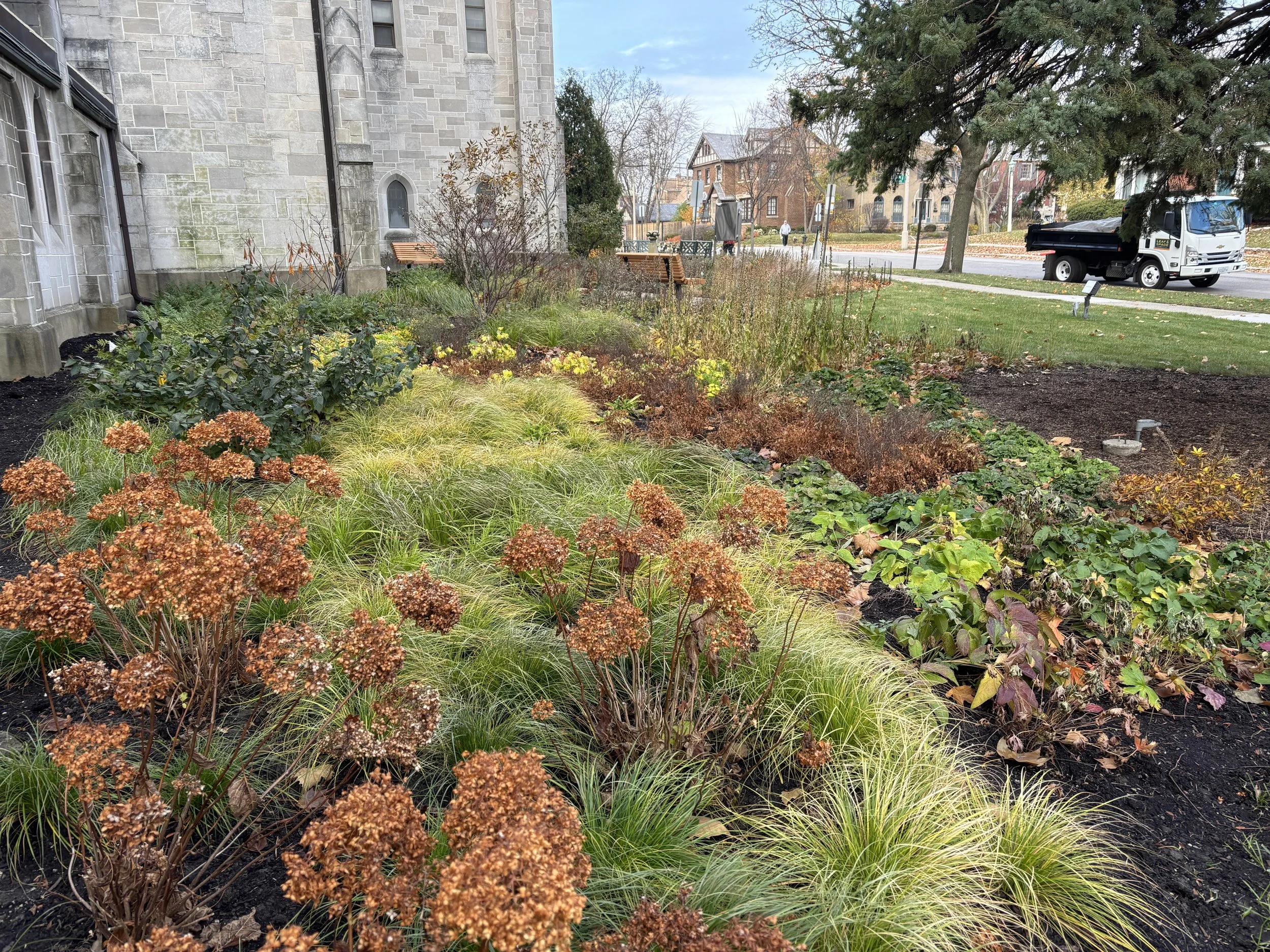 A garden with various plants and flowers in front of a stone building, with a sidewalk, a street, and a parked truck in the background.
