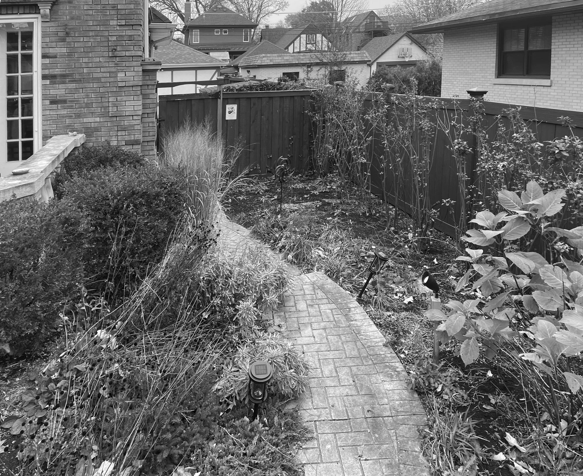 Price web images-6.jpg