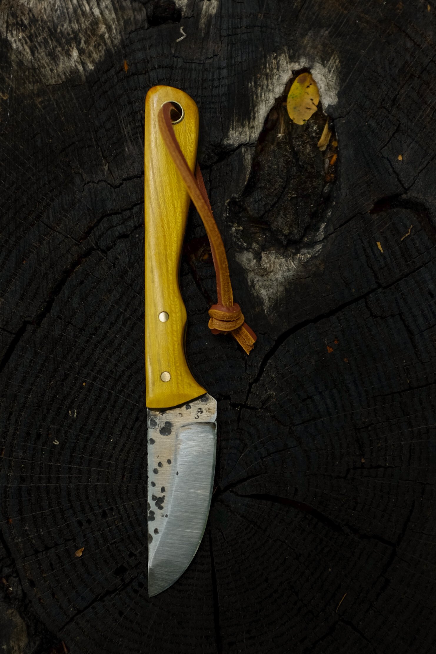 Osage Orange knife