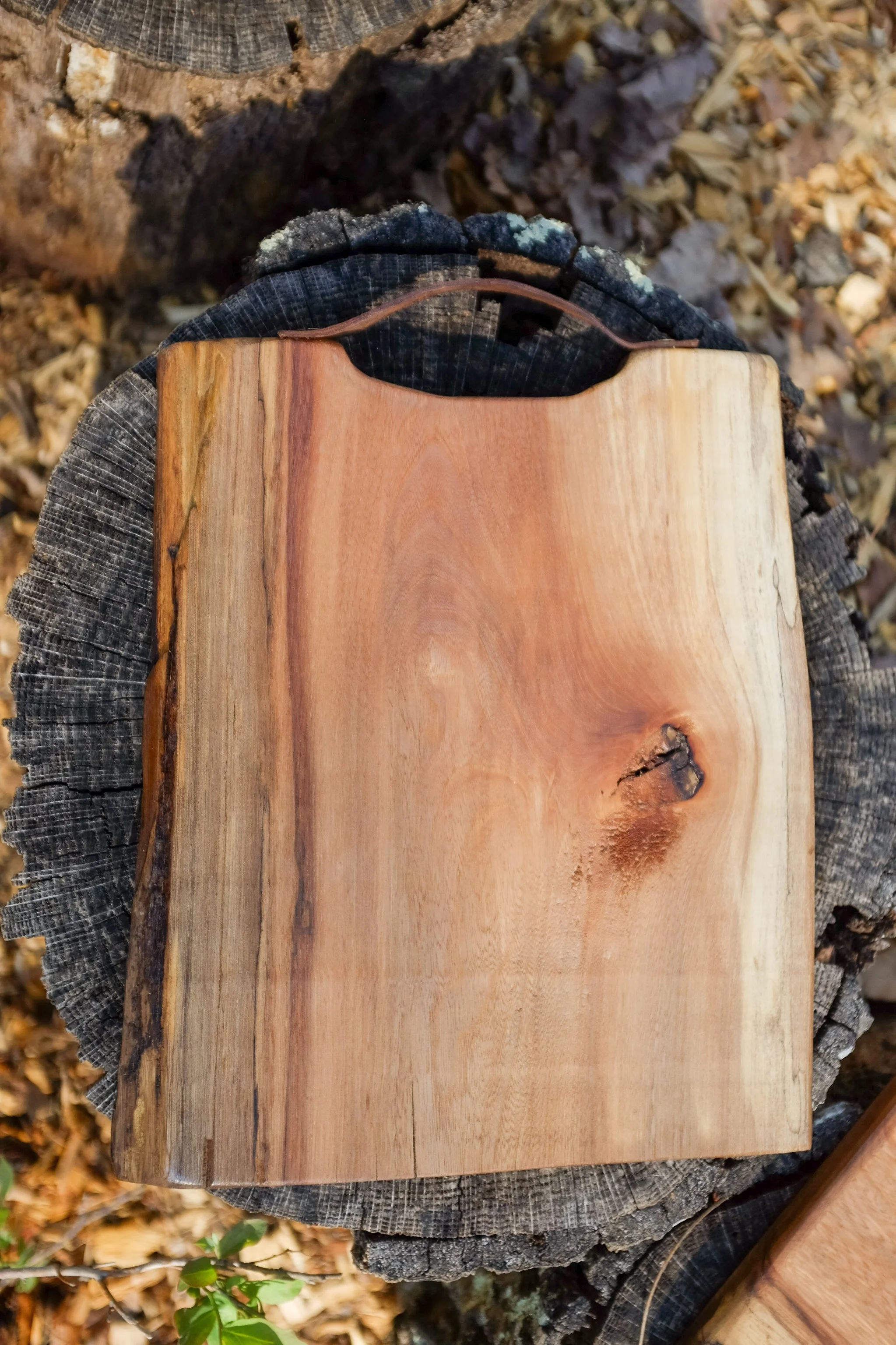 Red Elm charcuterie/cutting board (large)