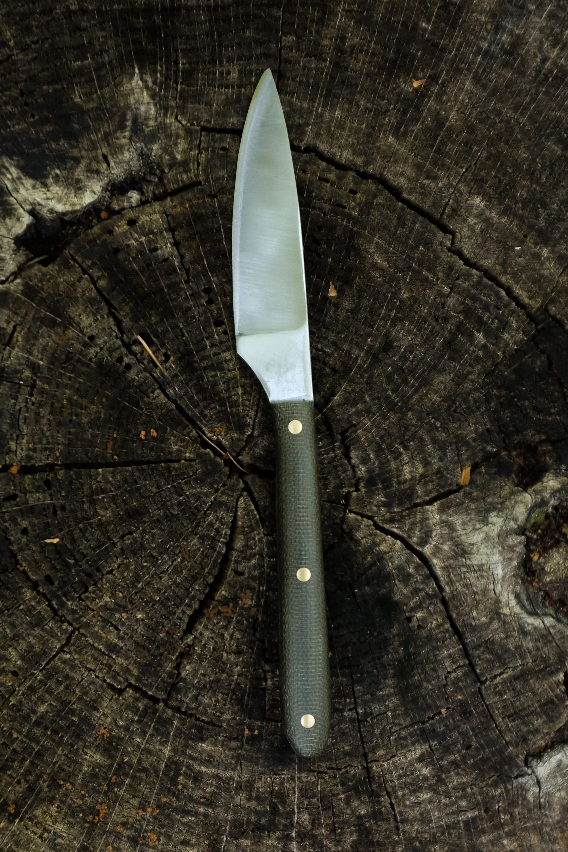 Paring knife