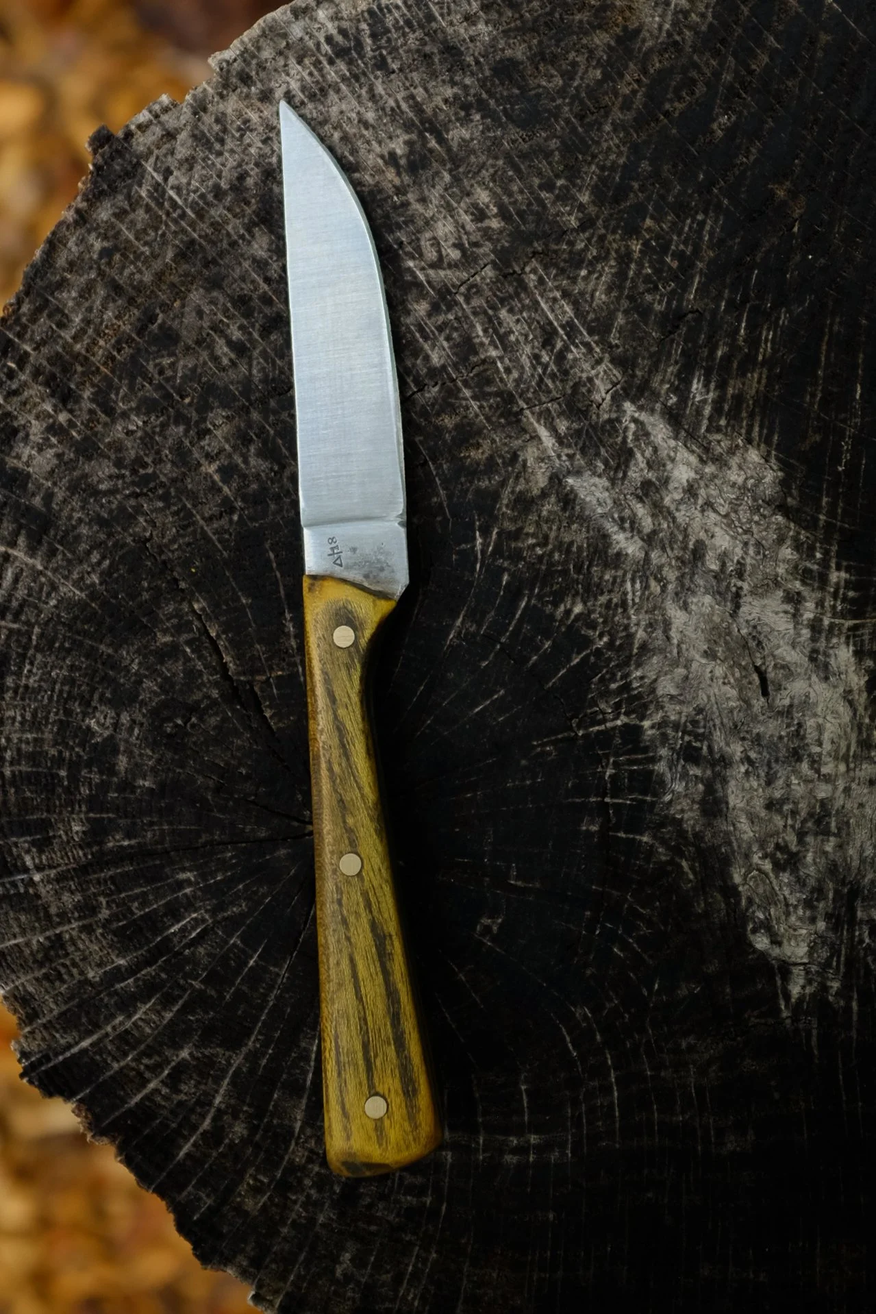 Osage paring knife