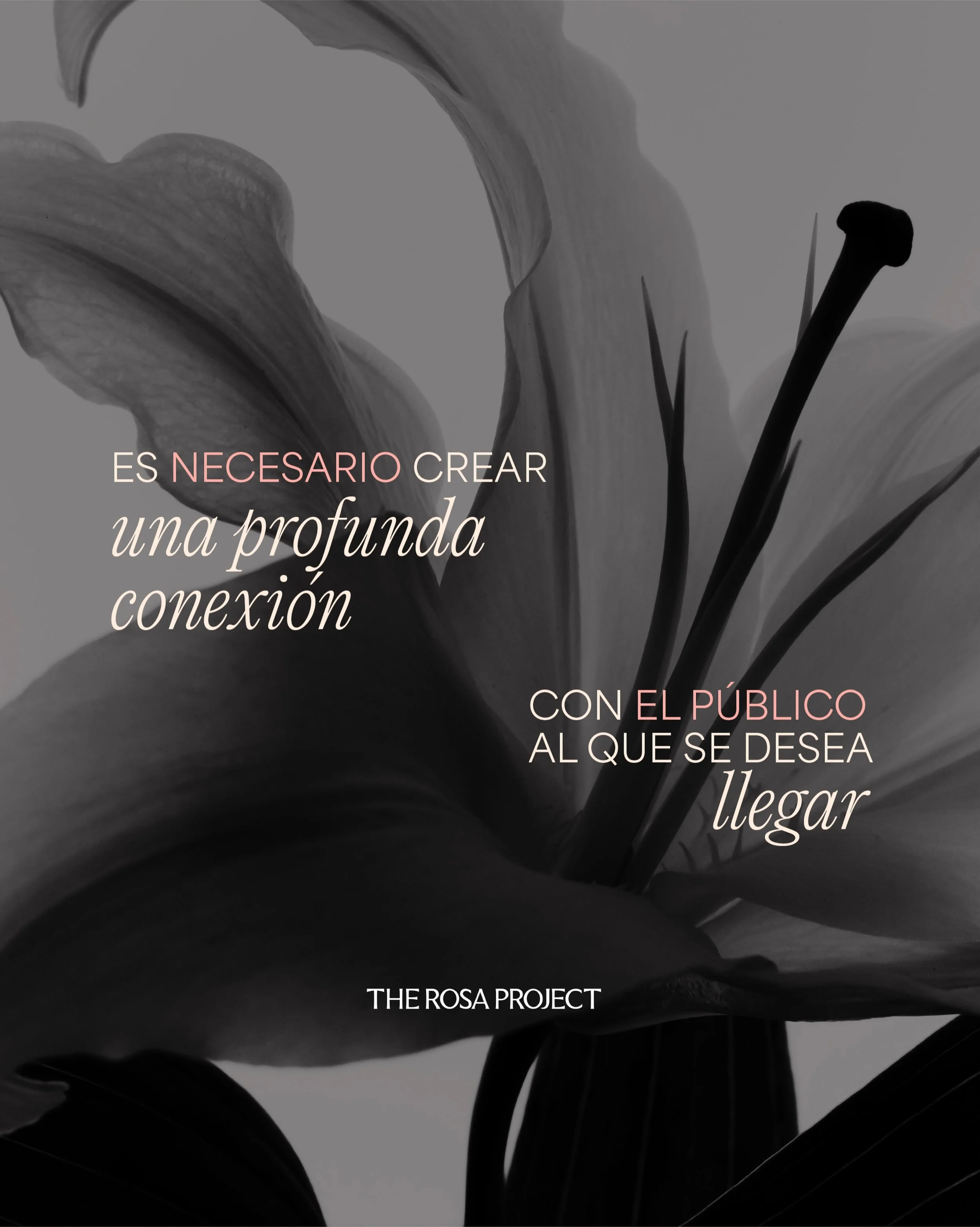 La compra muchas veces es instintiva y emocional y para eso, el cliente debe sentir que como marca, comprendemos sus GUSTOS y CARACTER&Iacute;STICAS PERSONALES. 

Cuando conocemos bien a nuestro cliente creamos conexiones reales y duraderas; un clien