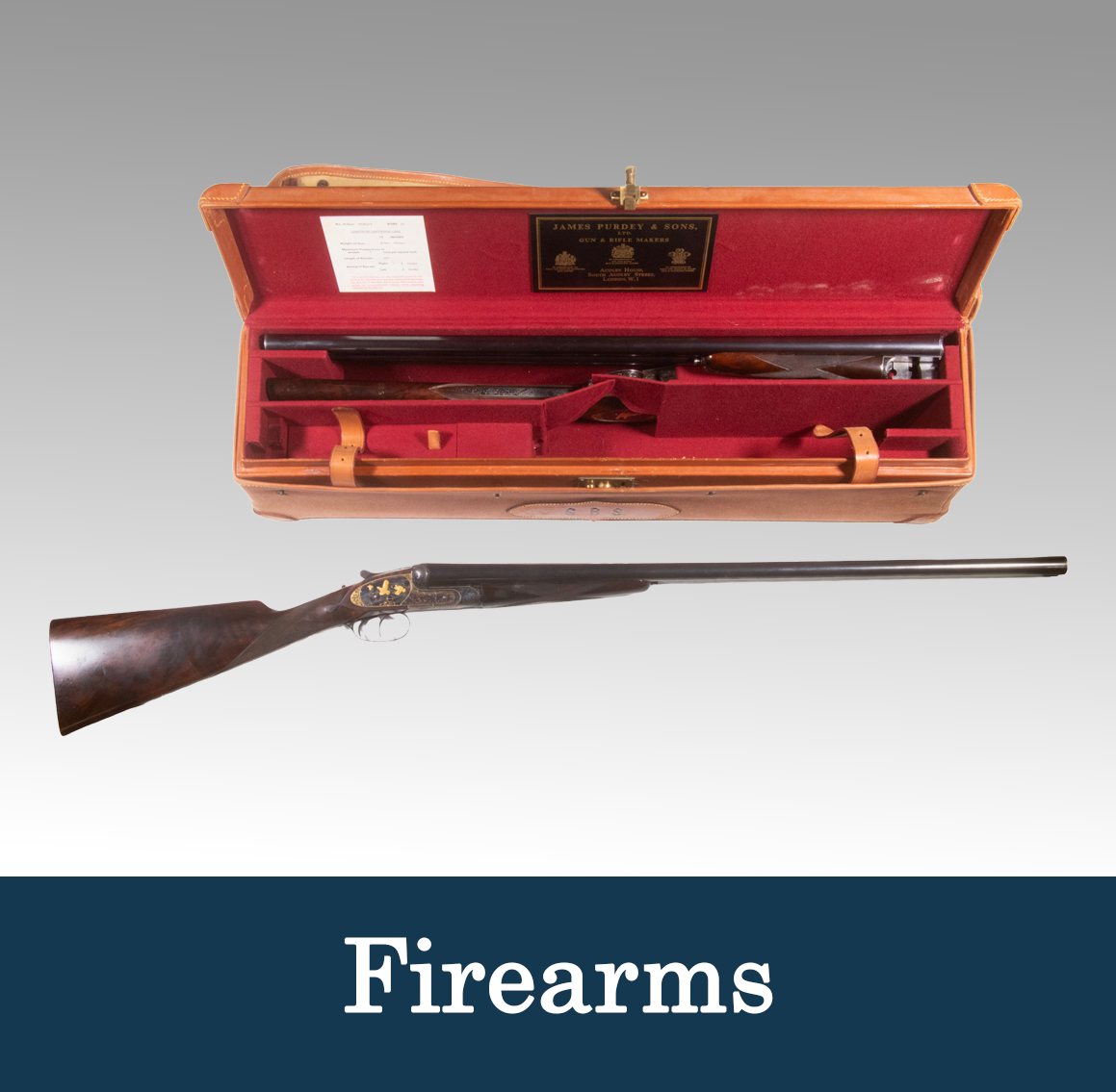 Firearms_2.png