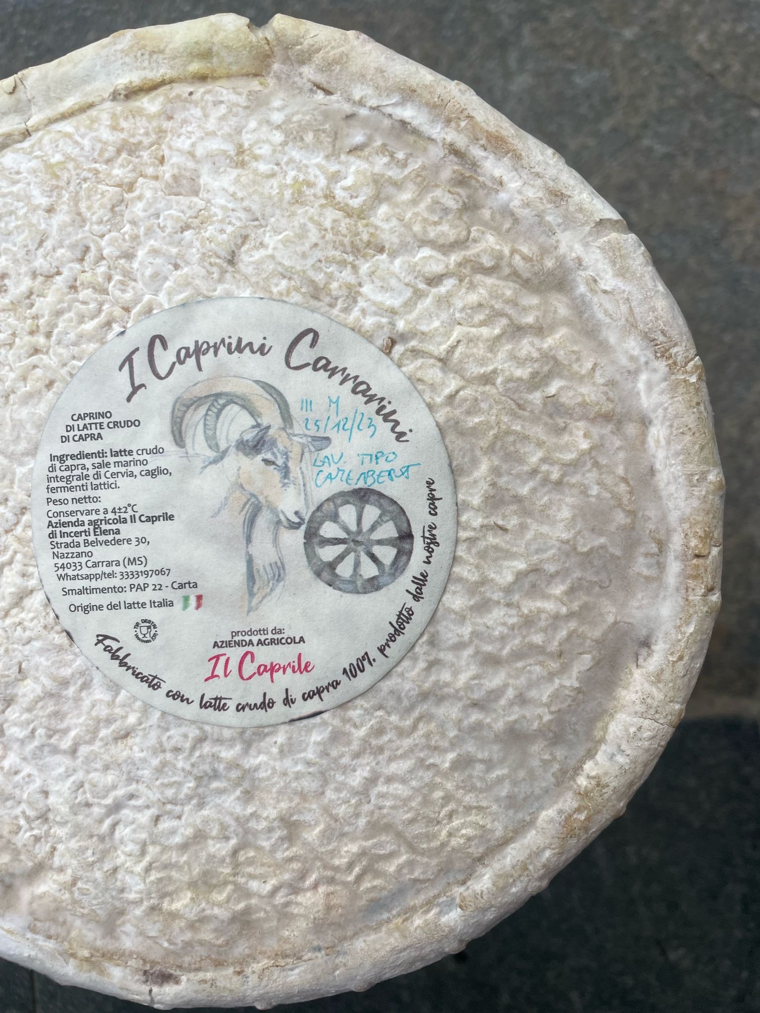 WhatsApp Image 2025-03-06 at 11.10.27.jpeg