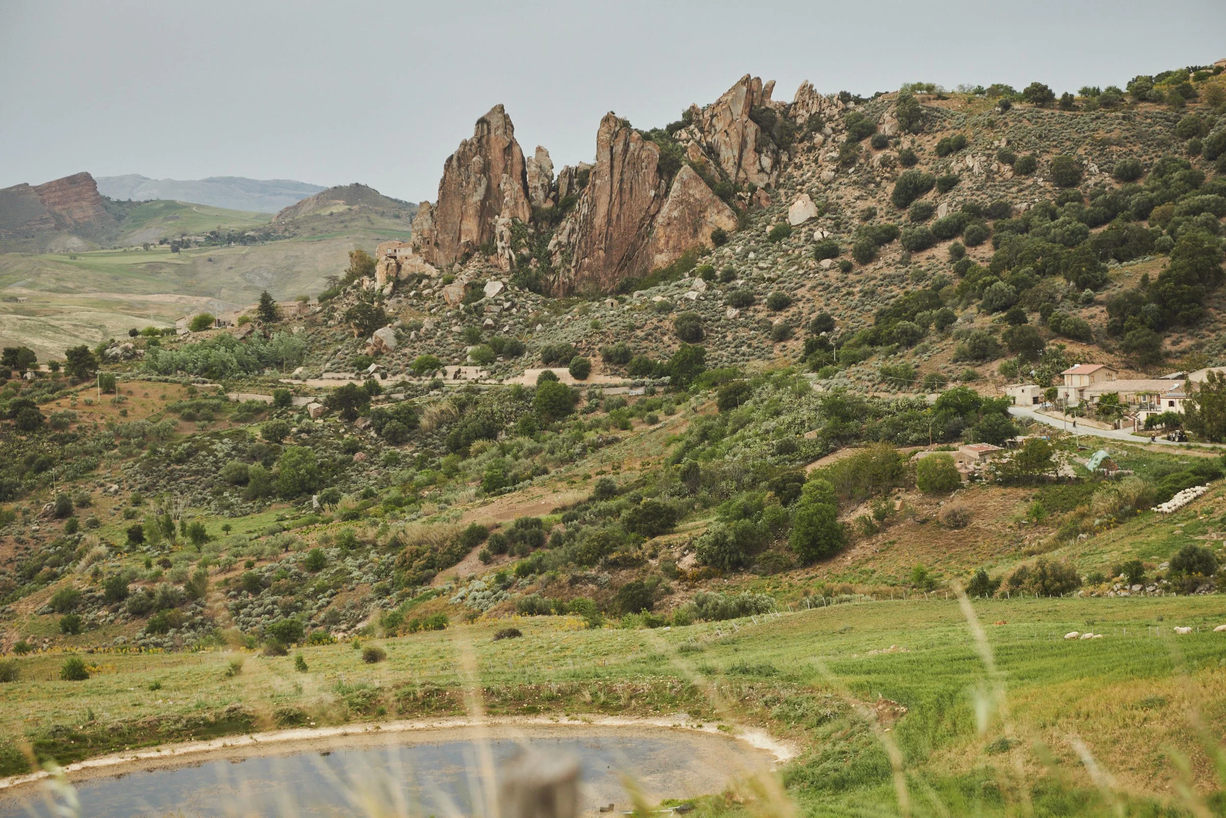 20240428-SicilianSpring-688.jpg