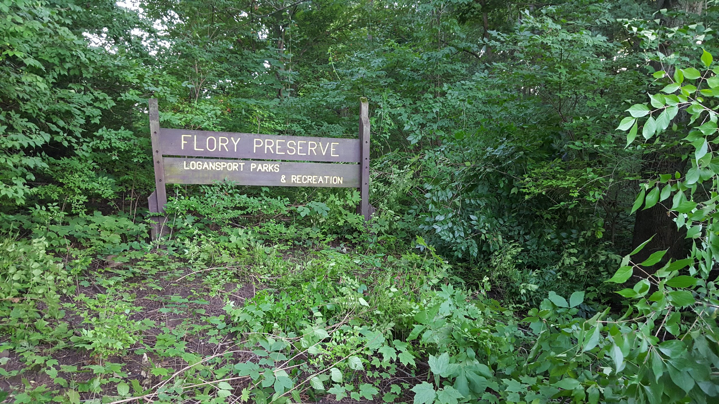 Flory Nature Preserve