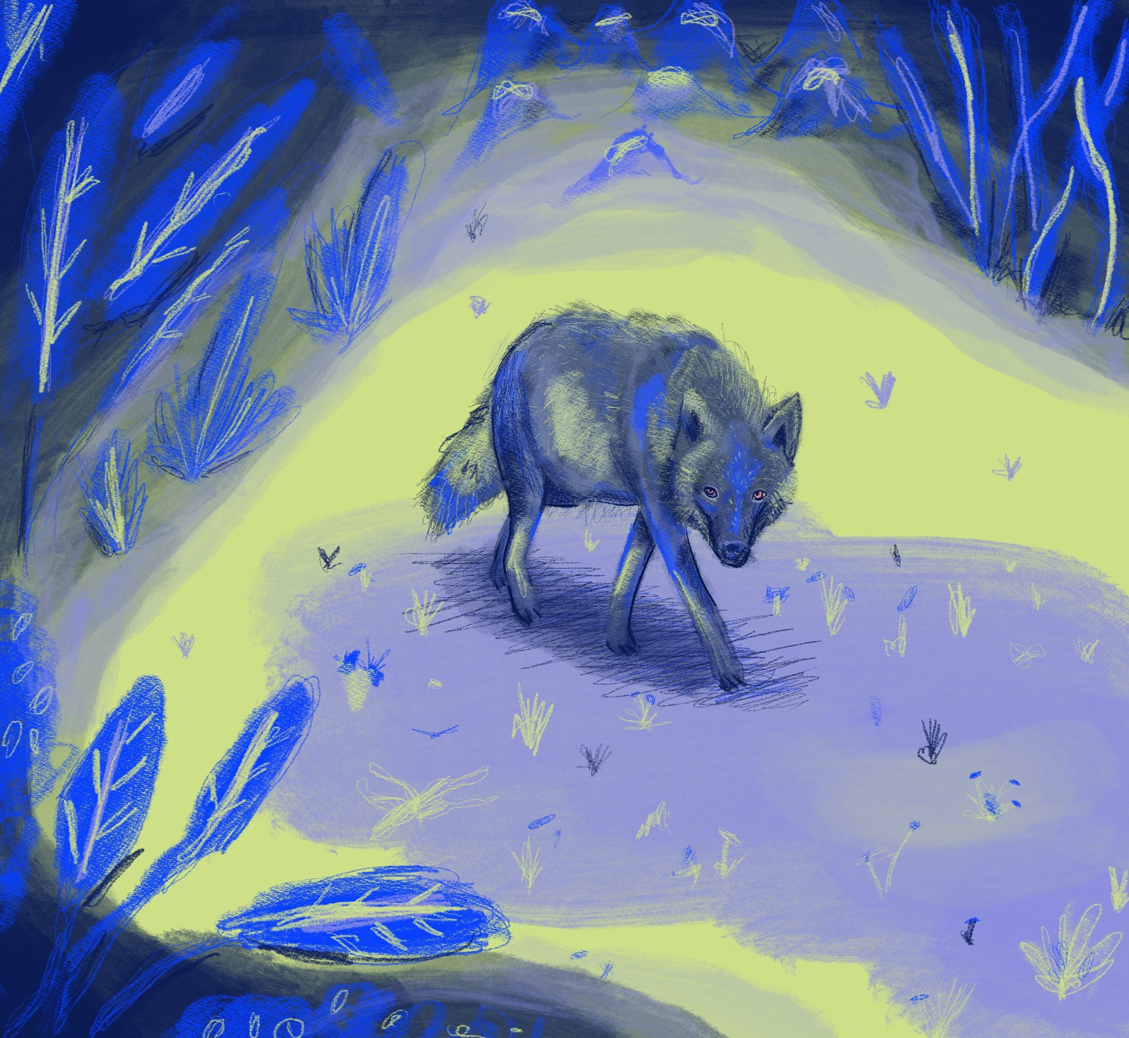 Digitale schets, Wolf, 20x30cm, (2025)