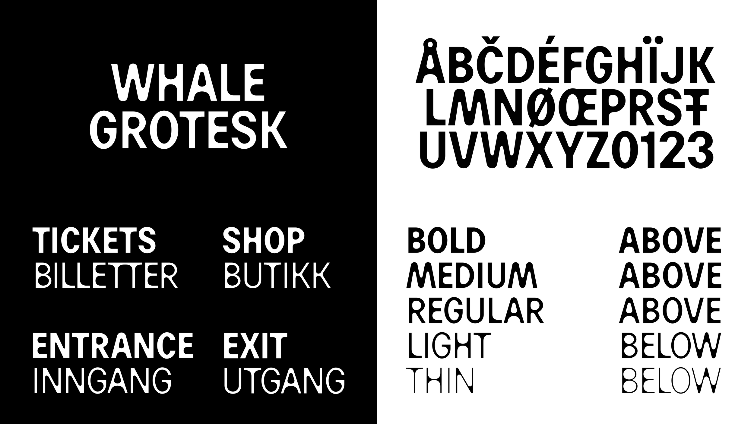 THE_WHALE_grotesk_001.png